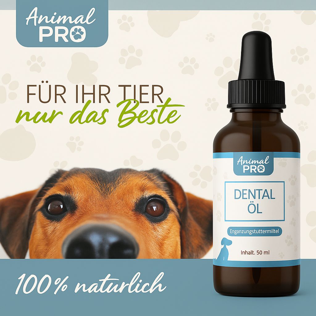 Flacone di vetro marrone con contagocce nero. Etichetta "Animal Pro" e "Dental Öl". Cane sullo sfondo.