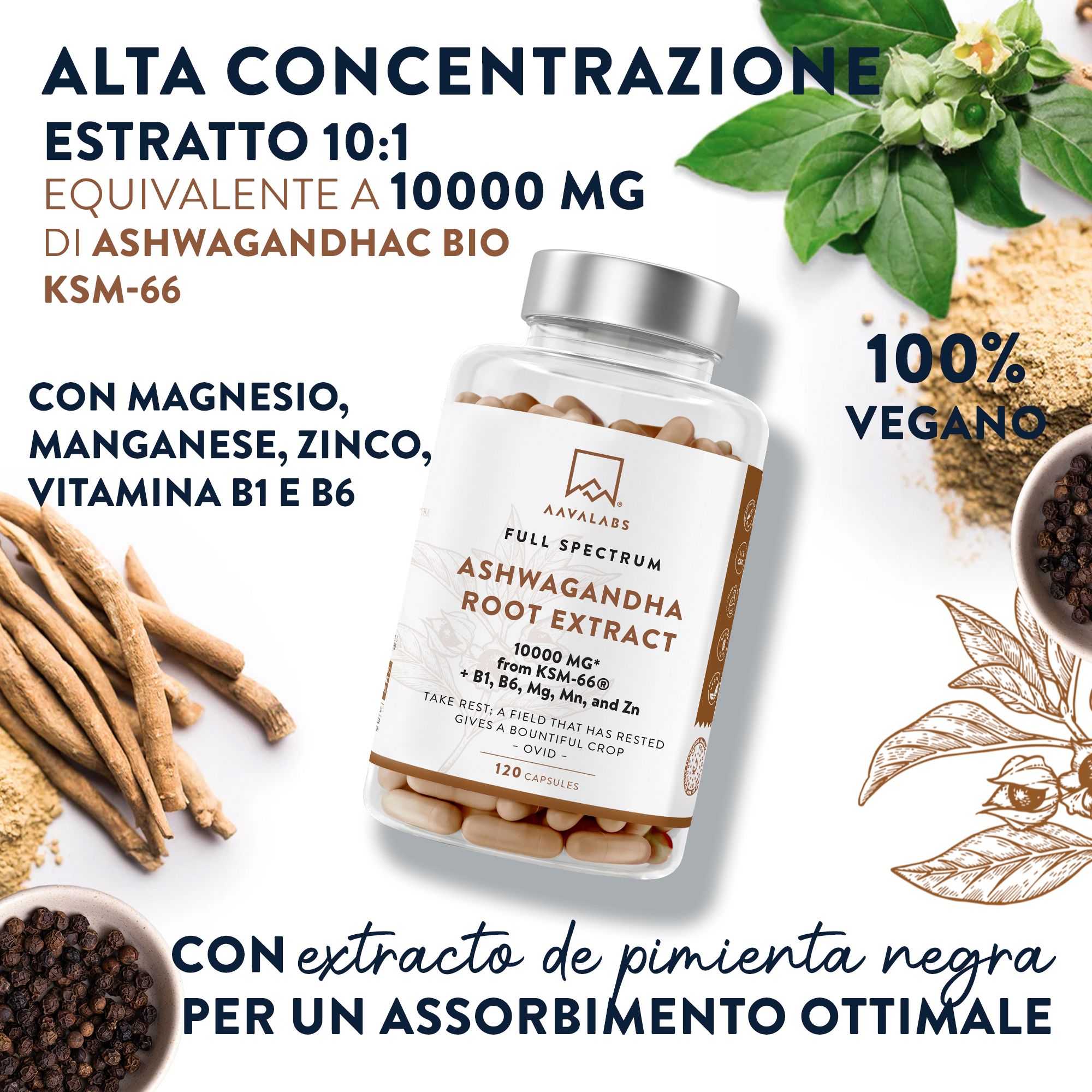 Capsule, erbe e ingredienti. Scritta: Ashwagandha Root Extract, 120 capsule. Marchio: AAVALABS.
