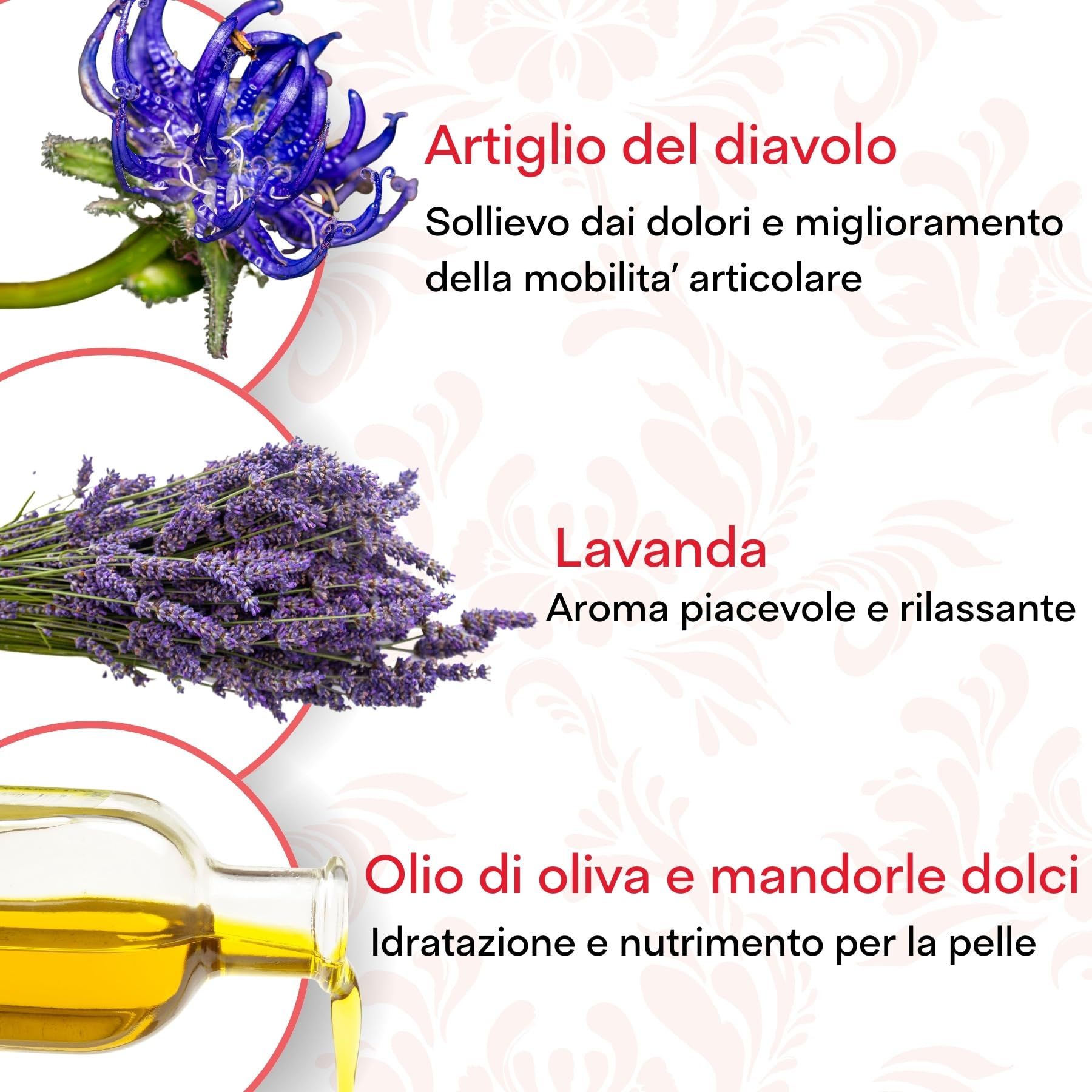 Illustrazione di piante e olio. Testo: Artiglio del diavolo, Lavanda, Olio d'oliva e mandorle dolci. Testo italiano.