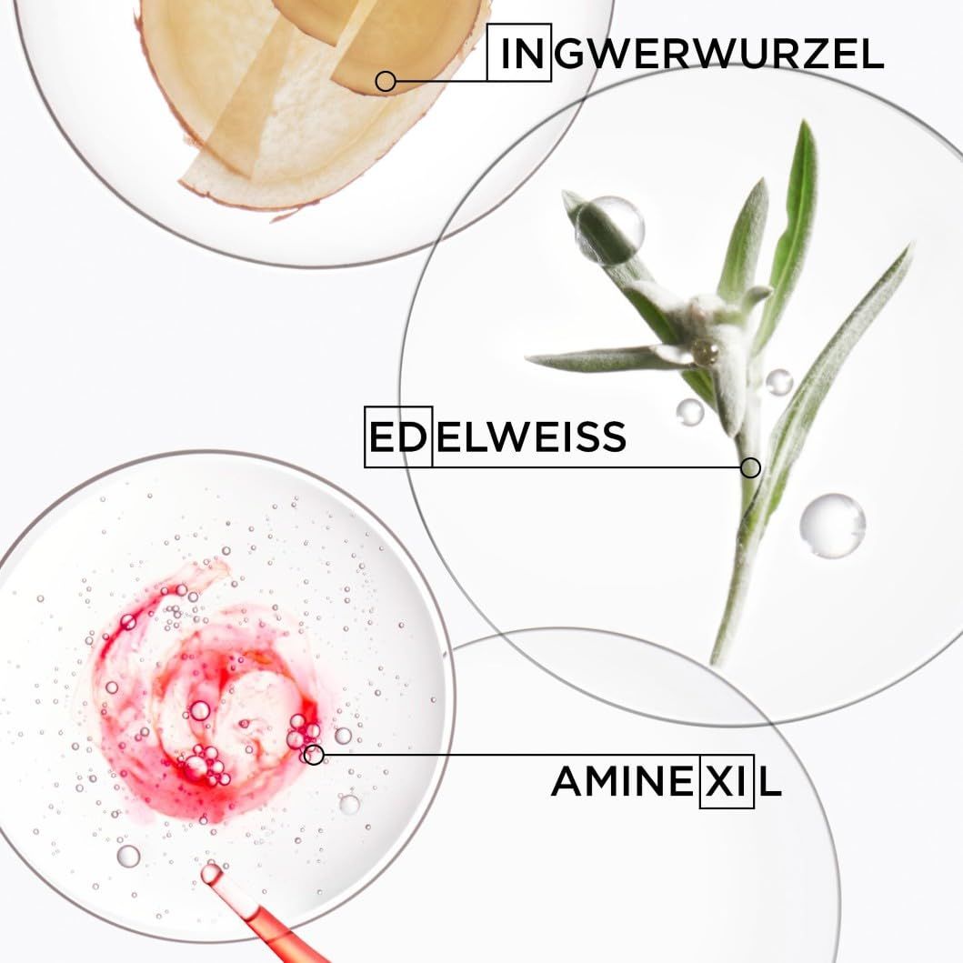 Primo piano degli ingredienti: Radice di zenzero, Stella alpina, Aminexil. Kérastase Genesis.