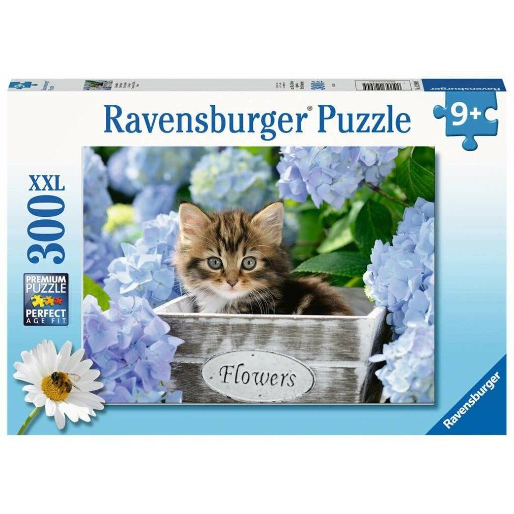Scatola puzzle Pz. Kleine Katze 300T. Immagine di un gattino in una fioriera. Marchio: Ravensburger. Età consigliata: 9+.