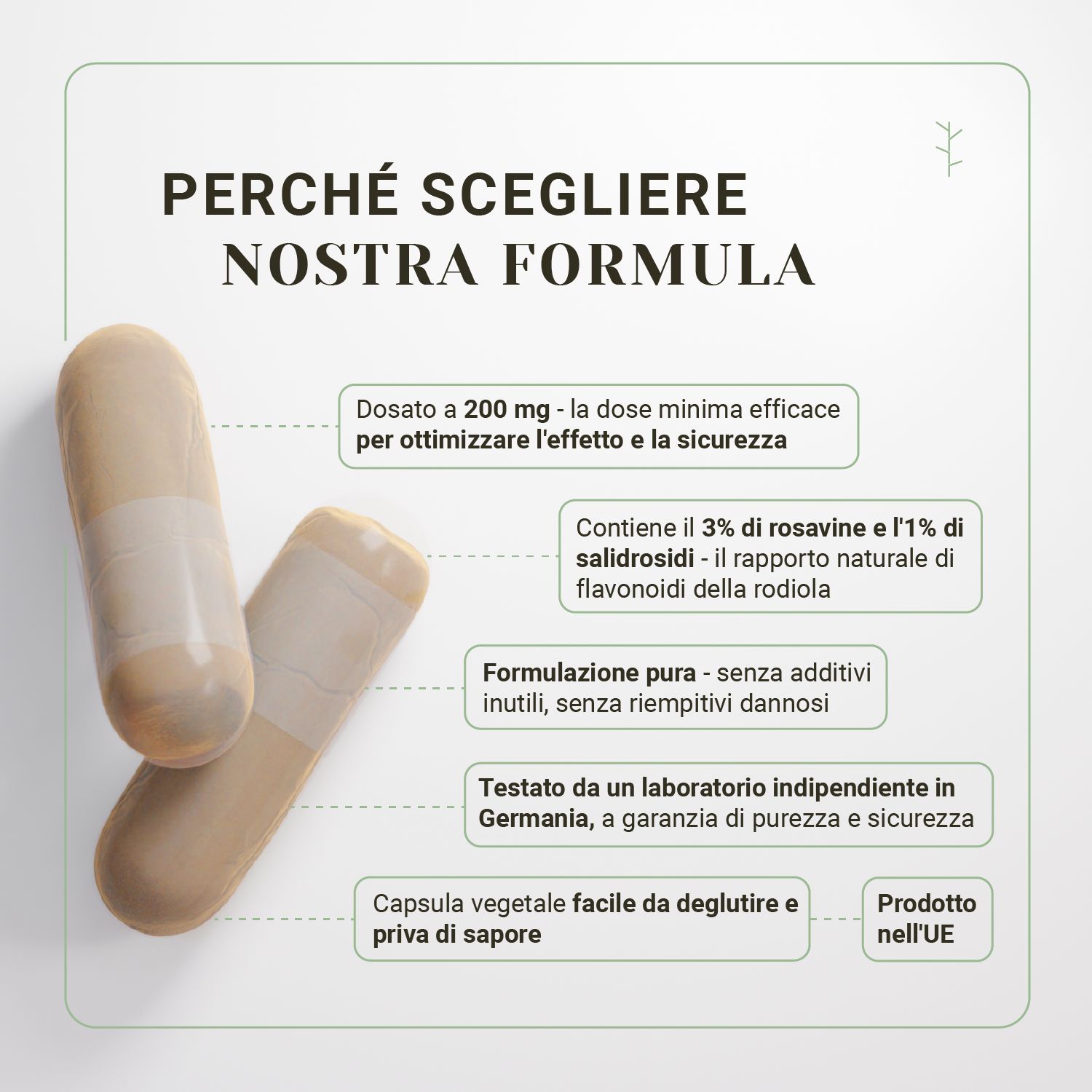 Due capsule con striscia bianca. Testo: dosaggio, ingredienti, test di laboratorio, facile da deglutire. Sfondo: verde chiaro.