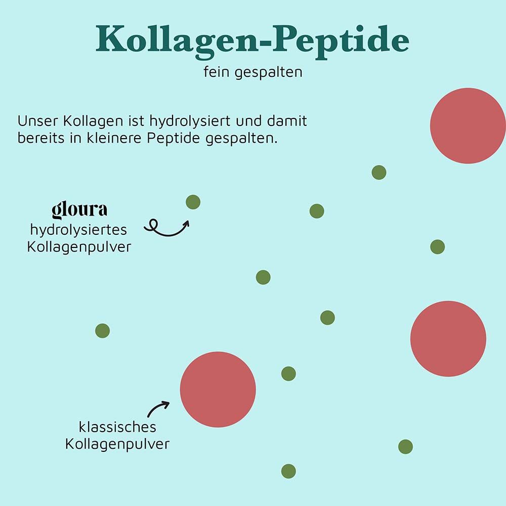 Grafico: peptidi di collagene. Polvere di collagene idrolizzata (Gloura) e polvere di collagene classica. Cerchi verdi e rossi.