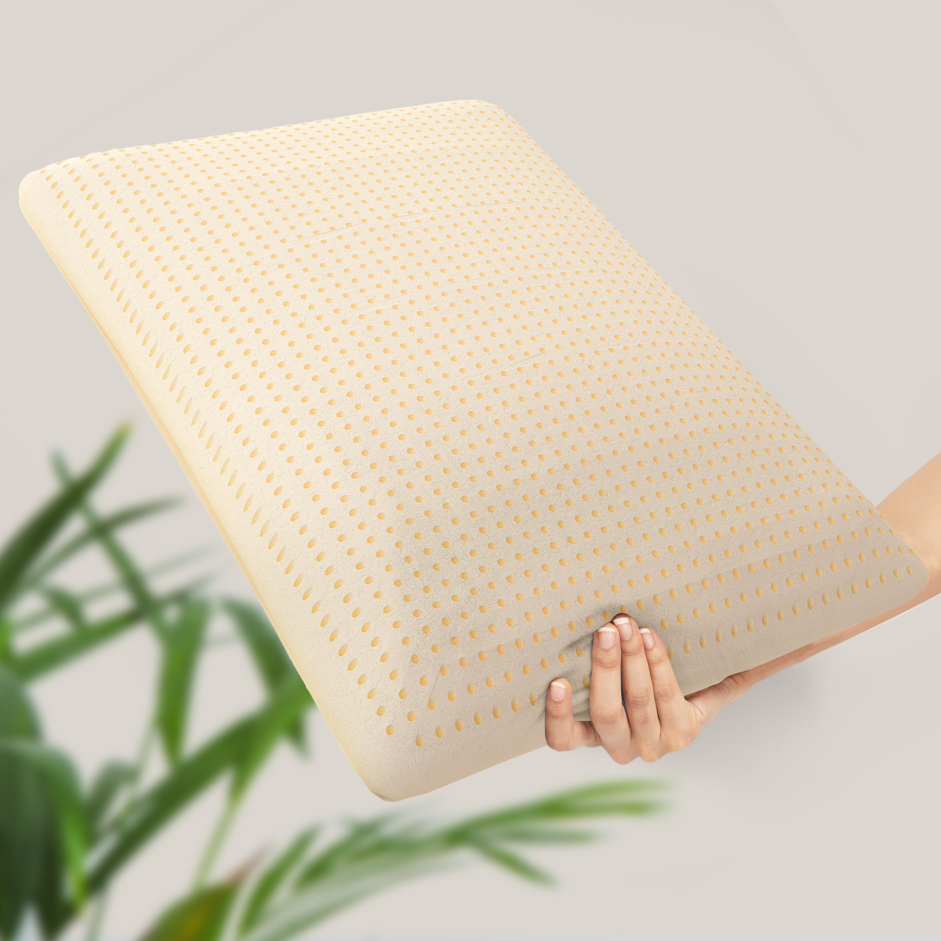 The White Stone Guanciale Memory Foam 40 x 70 cm | Altezza 11 cm