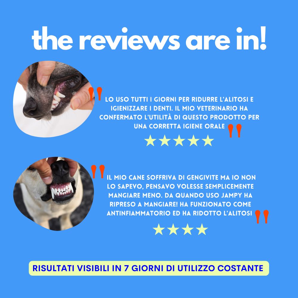 Due recensioni sui denti del cane. Testo: "Lo uso quotidianamente per ridurre l'alitosi". "Il mio veterinario lo ha confermato".