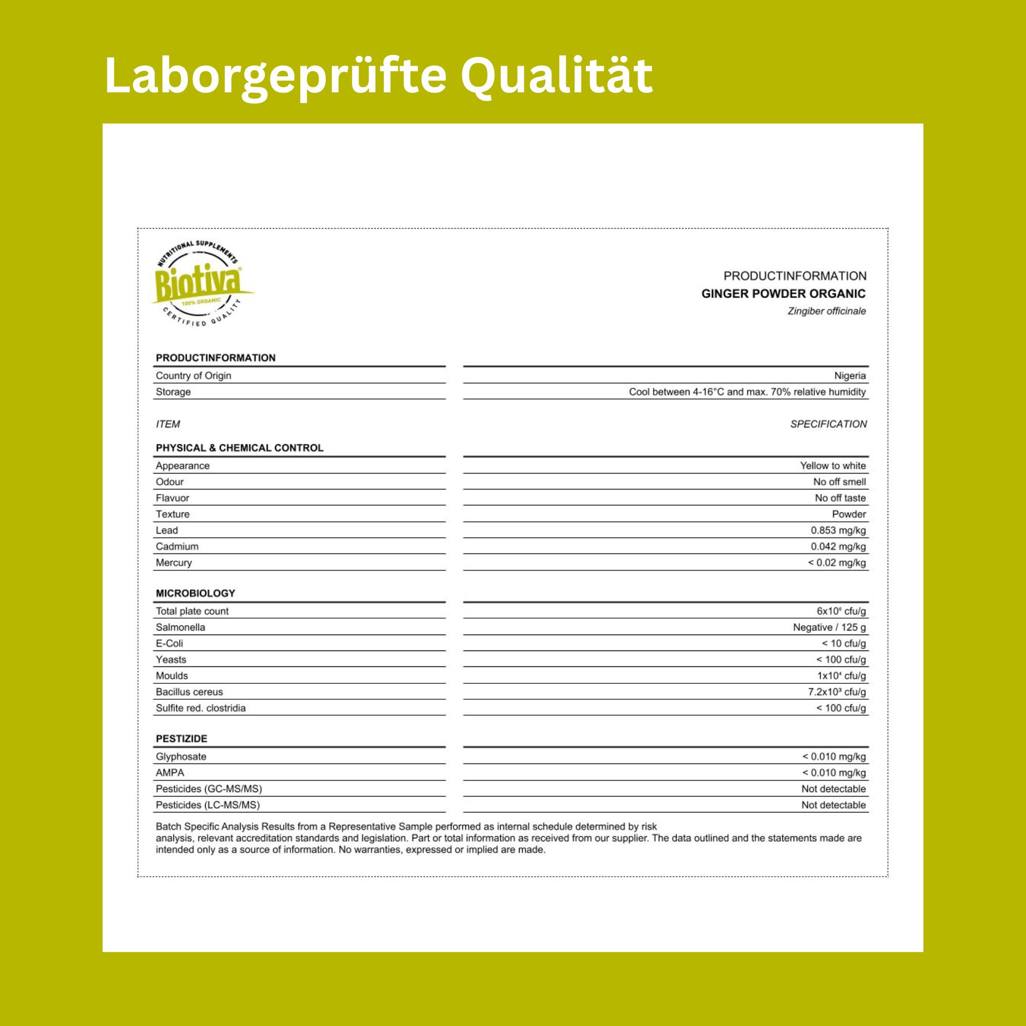 Rapporto di laboratorio con informazioni sul prodotto: Ginger Powder Organic. Testo: Biotiva, origine Nigeria, specifiche, pesticidi, metalli pesanti.