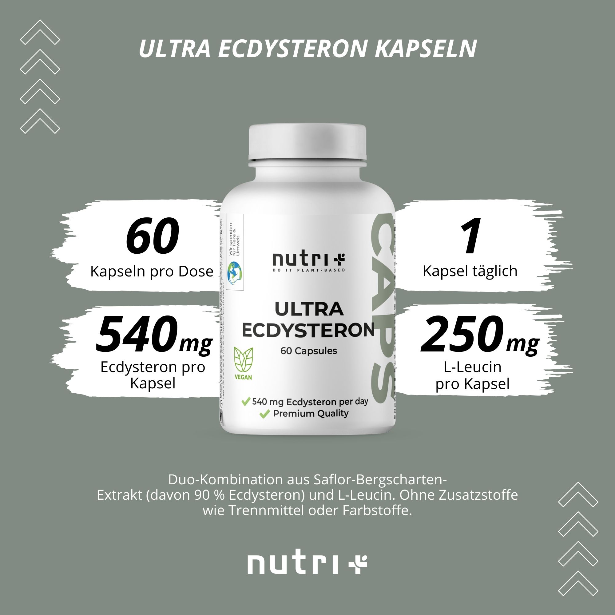 Flacone con capsule, testo: Ultra Ecdysteron Kapseln. 60 capsule per dose, 540mg Ecdysteron per capsula, 1 capsula al giorno, 250mg L-Leucina per capsula.