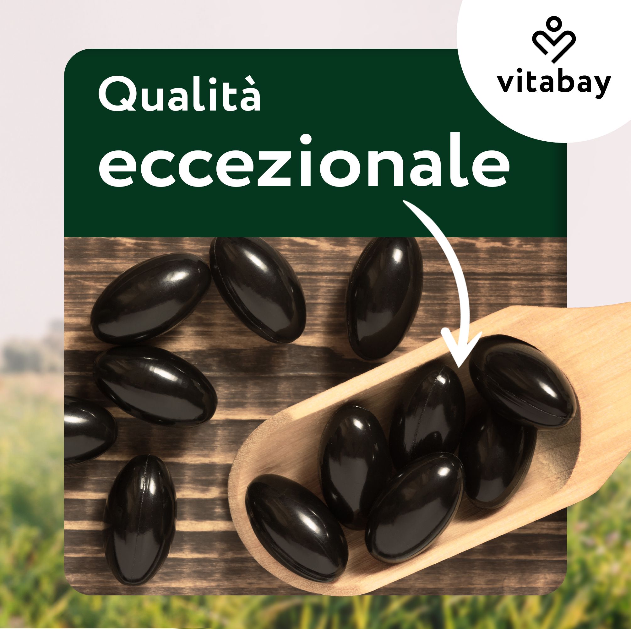 Cucchiaio di legno con capsule nere. Testo: Qualità eccezionale.