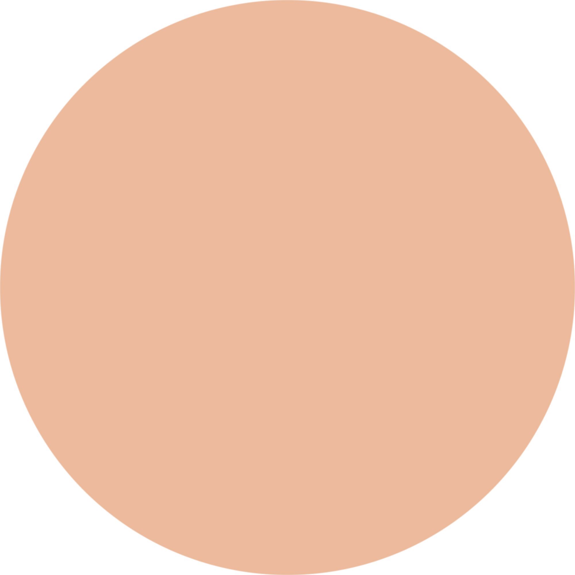WYCON cosmetics everyday wear liquid concealer nw20