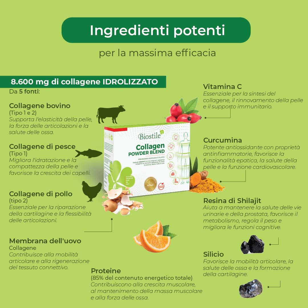 Grafico con ingredienti di Biostile Collagen Powder Blend. Diverse fonti e ingredienti.