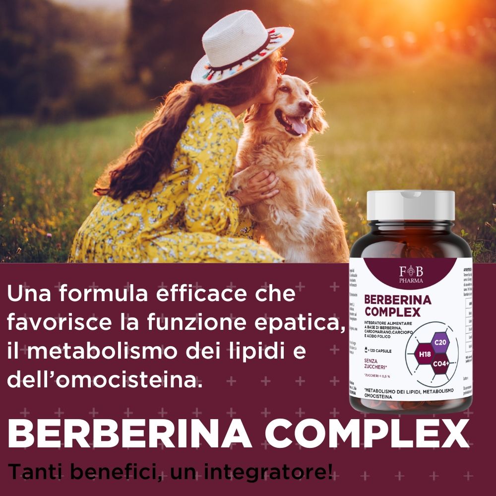 FB PHARMA - Berberina + Cardo Mariano +  Carciofo + Acido folico