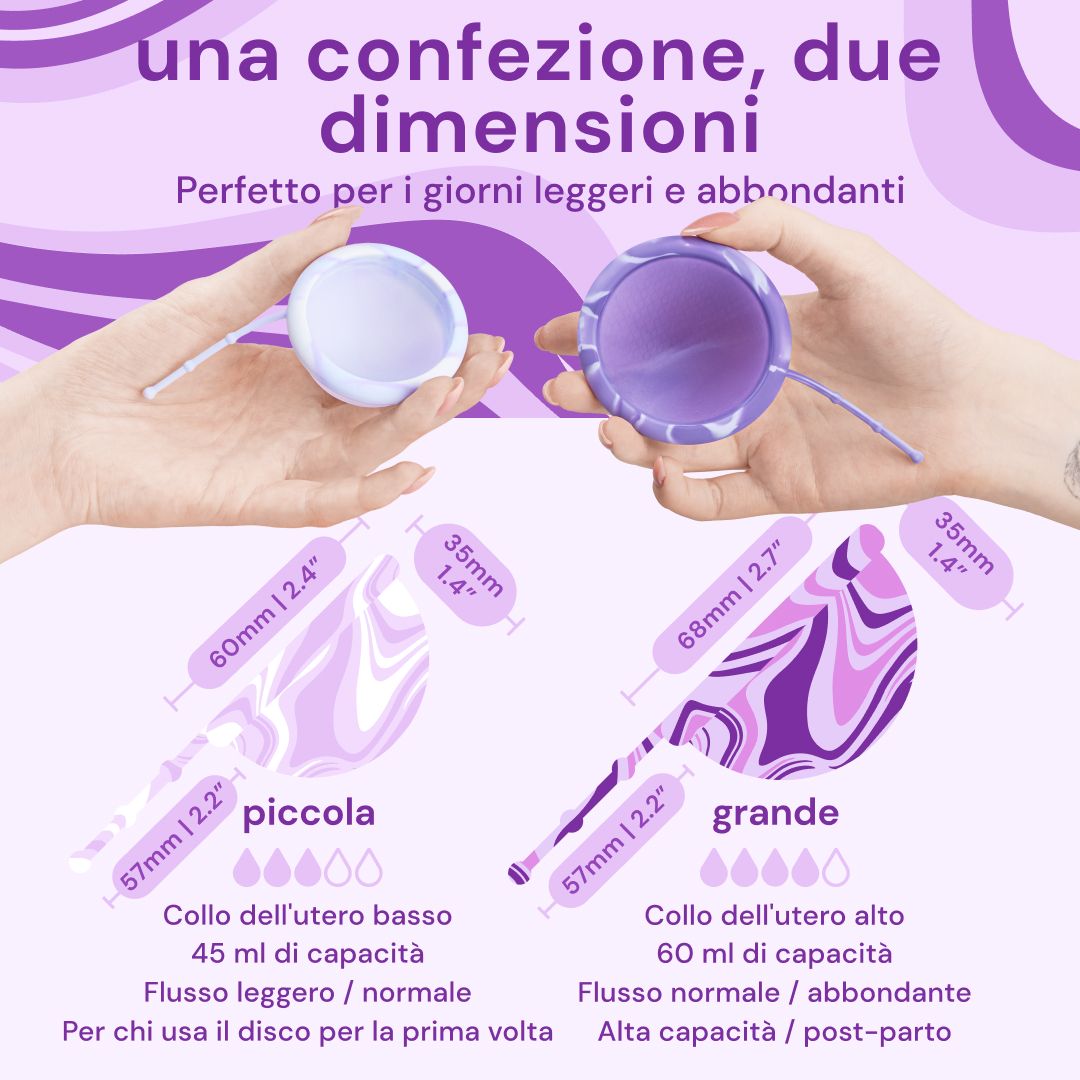 Custodia viola per dischi mestruali (S/L).