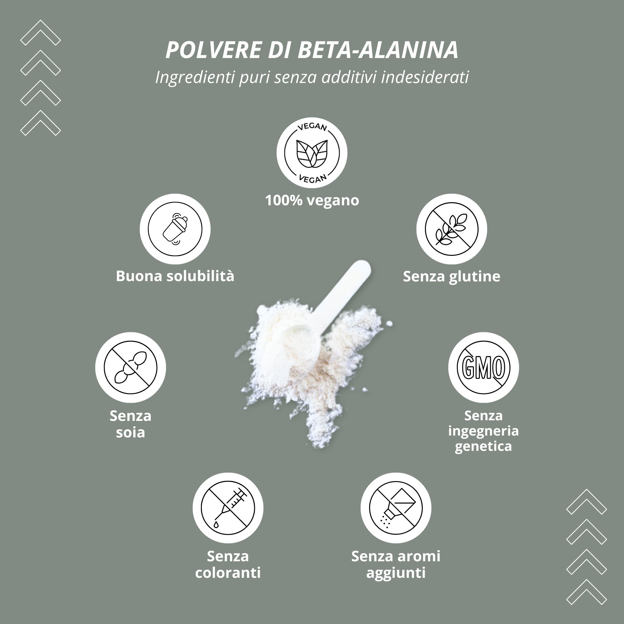 Polvere di beta-alanina. Ingredienti puri senza additivi indesiderati. Vegano, senza glutine, senza soia, senza OGM.