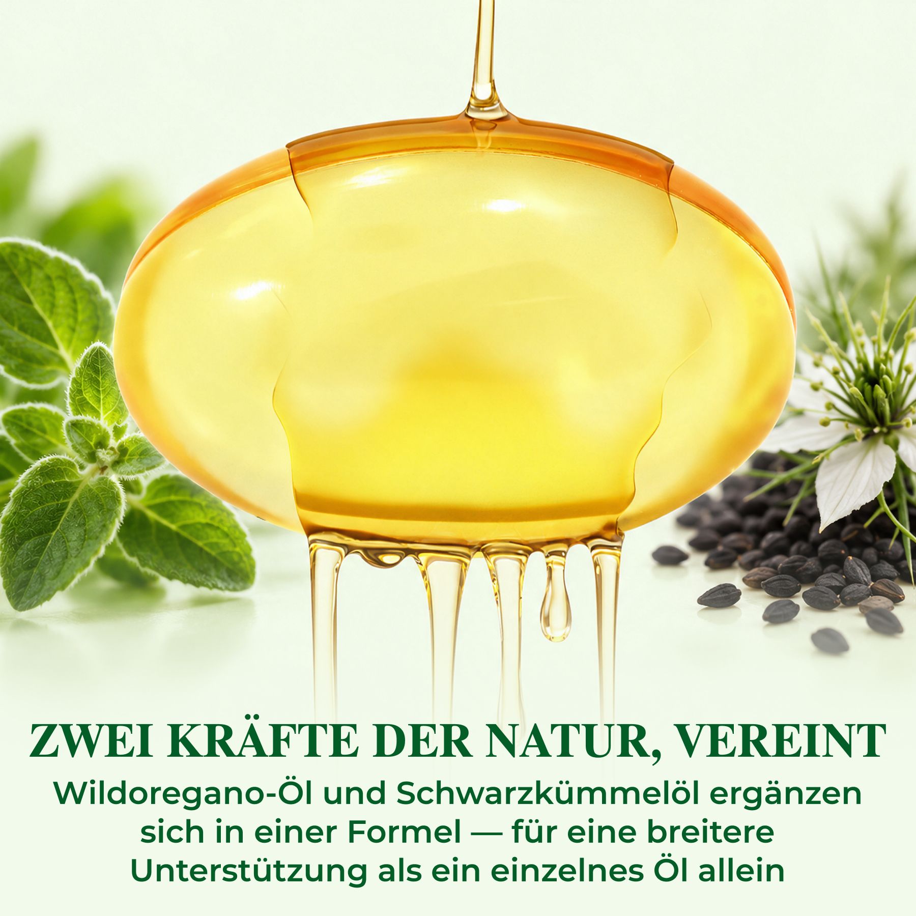 P-beauty Olio di origano selvatico 6000 mg, olio di cumino nero, carvacrolo, timochinone