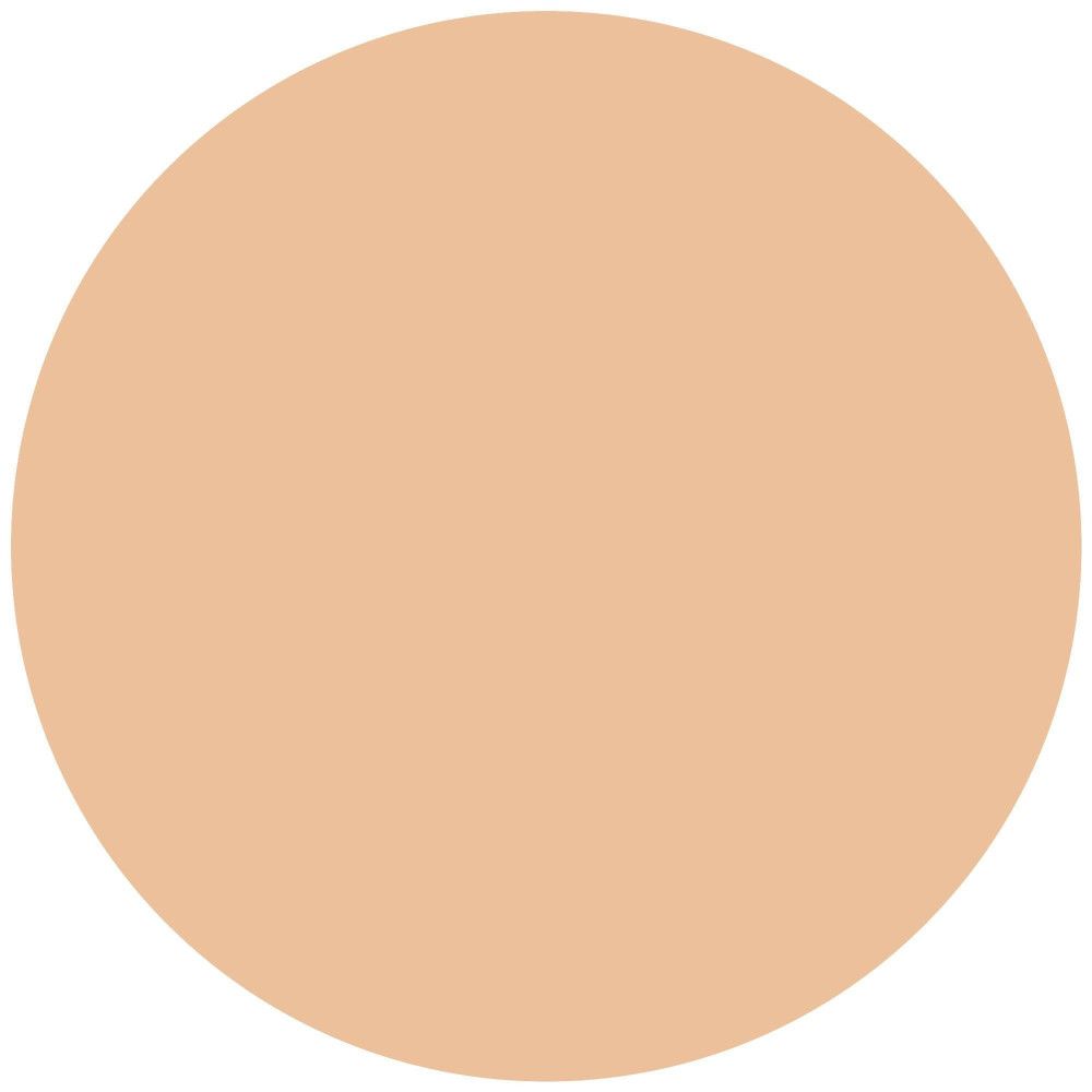 Polvere rotonda beige. Forma rotonda monocolore. Nessun altro dettaglio visibile.