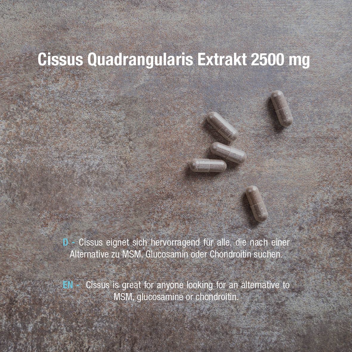 Capsule su sfondo strutturato. Testo: Cissus Quadrangularis Estratto 2500 mg. Testo: Cissus è ottimo per chi cerca un'alternativa.