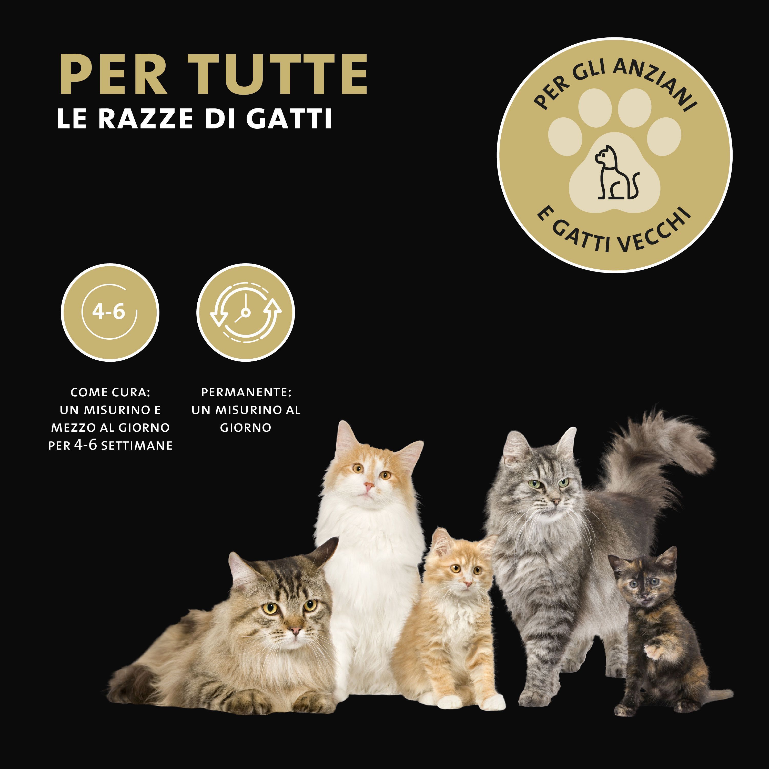 Barattolo Peticare Senioren Vital-Mix polvere, con icone per metabolismo, mobilità, intestino.