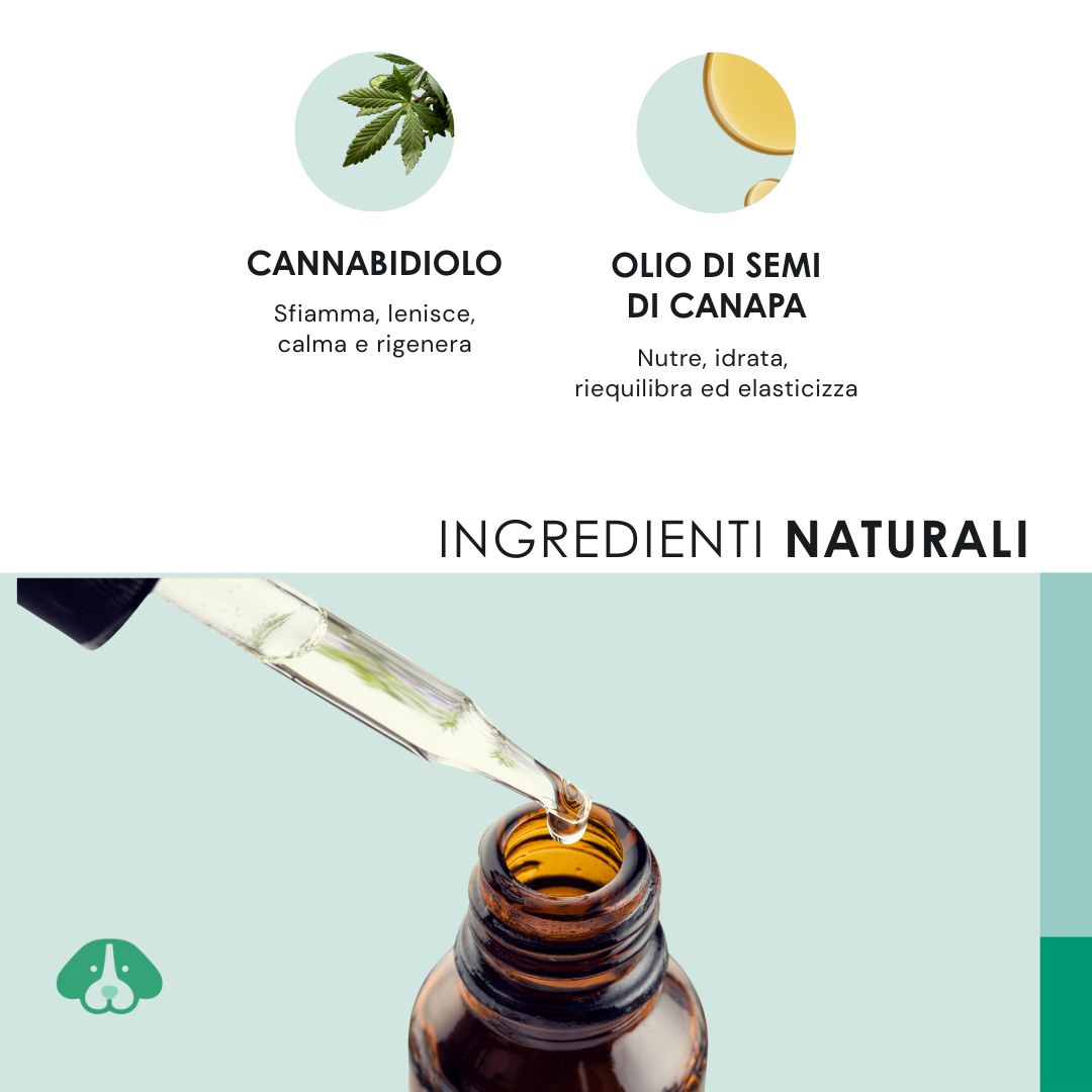 Cane con testo: Quando usare CBD Oil DOG? Stress, ansia, problemi osteo-muscolari.