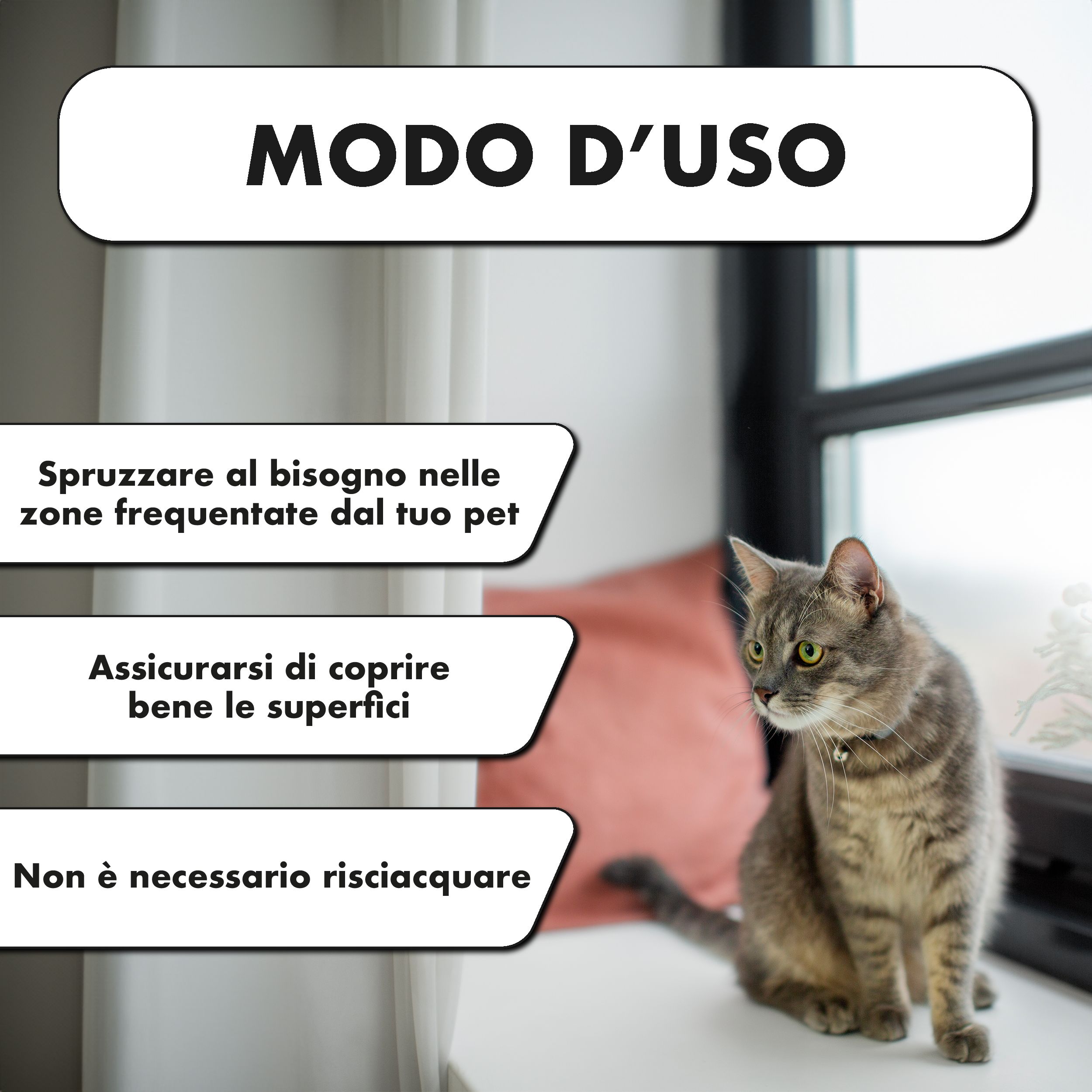 Elenco degli ingredienti per uno spray protettivo per animali, con un gatto.
