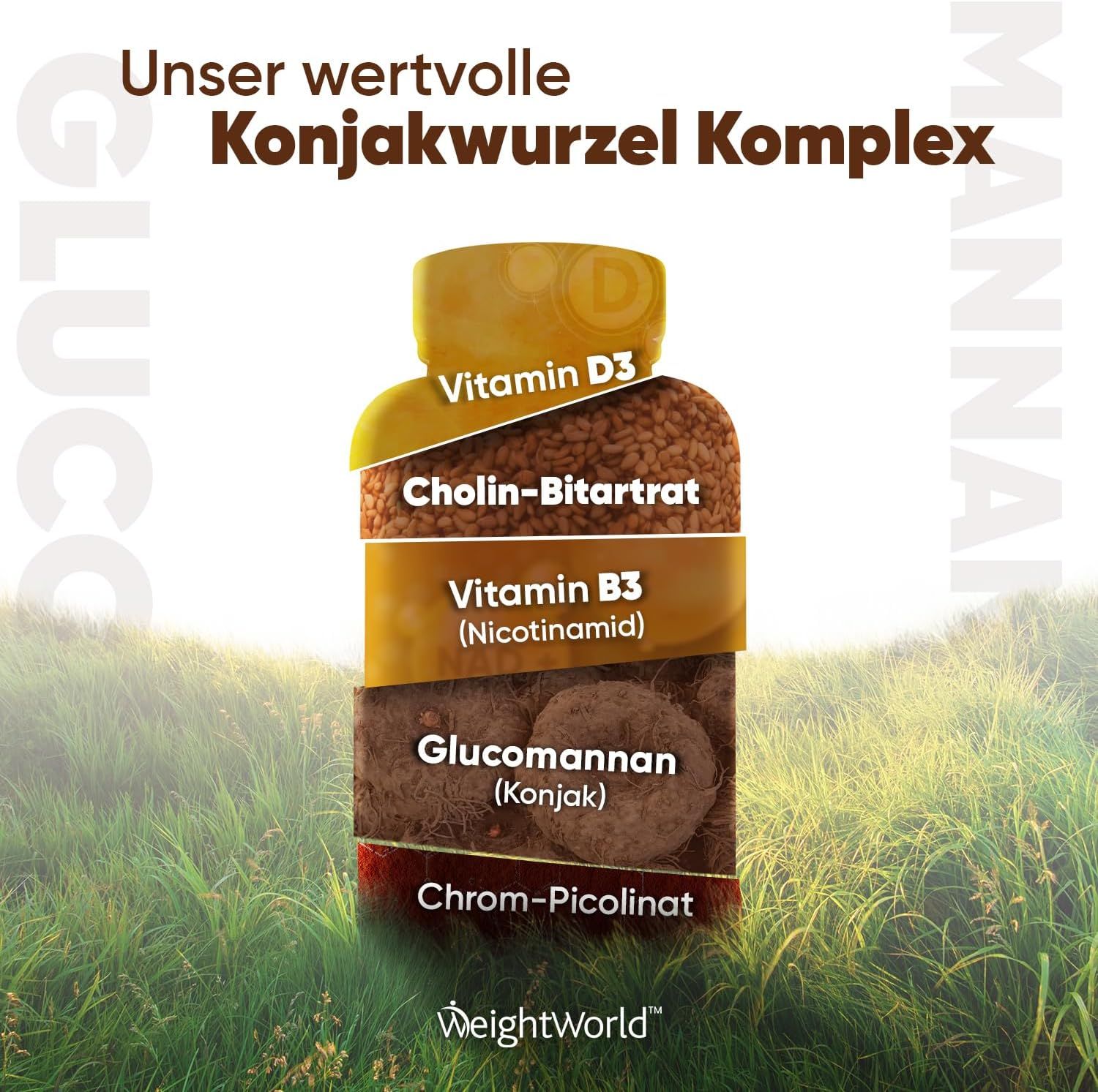 Grafico con ingredienti: Vitamina D3, Colina-Bitartrato, Vitamina B3, Glucomannano (Konjac), Cromo-Picolinato. Marchio: WeightWorld.