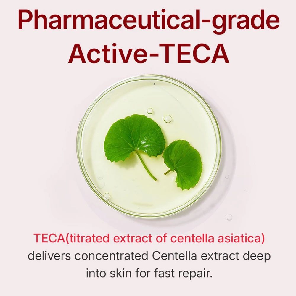 Ciotola con due foglie verdi. Testo: Pharmaceutical-grade Active-TECA. Testo: TECA (estratto titolato di centella asiatica).