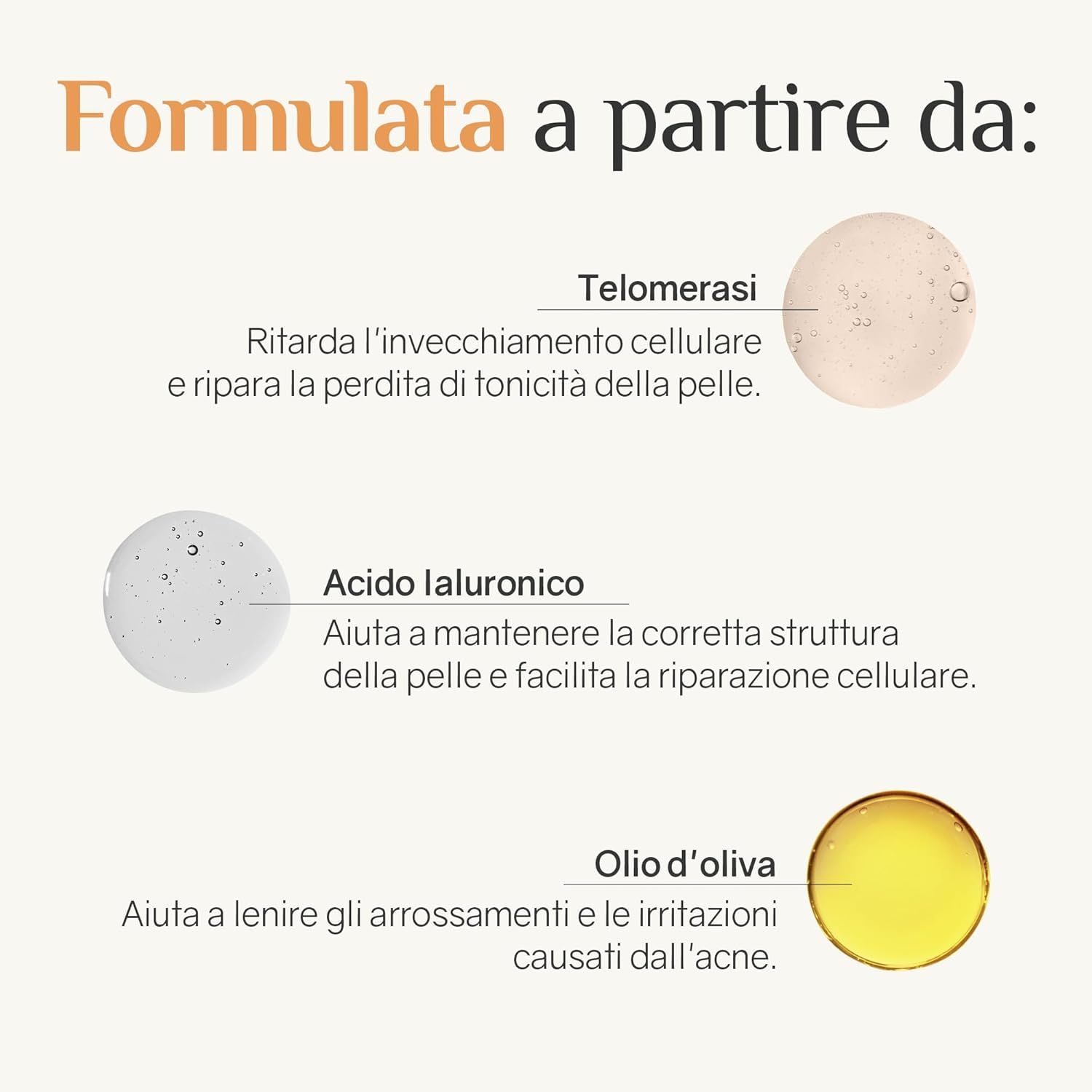 Grafico circolare con ingredienti: Telomerasi, acido ialuronico, olio d'oliva. Testo: Rallenta l'invecchiamento cellulare.