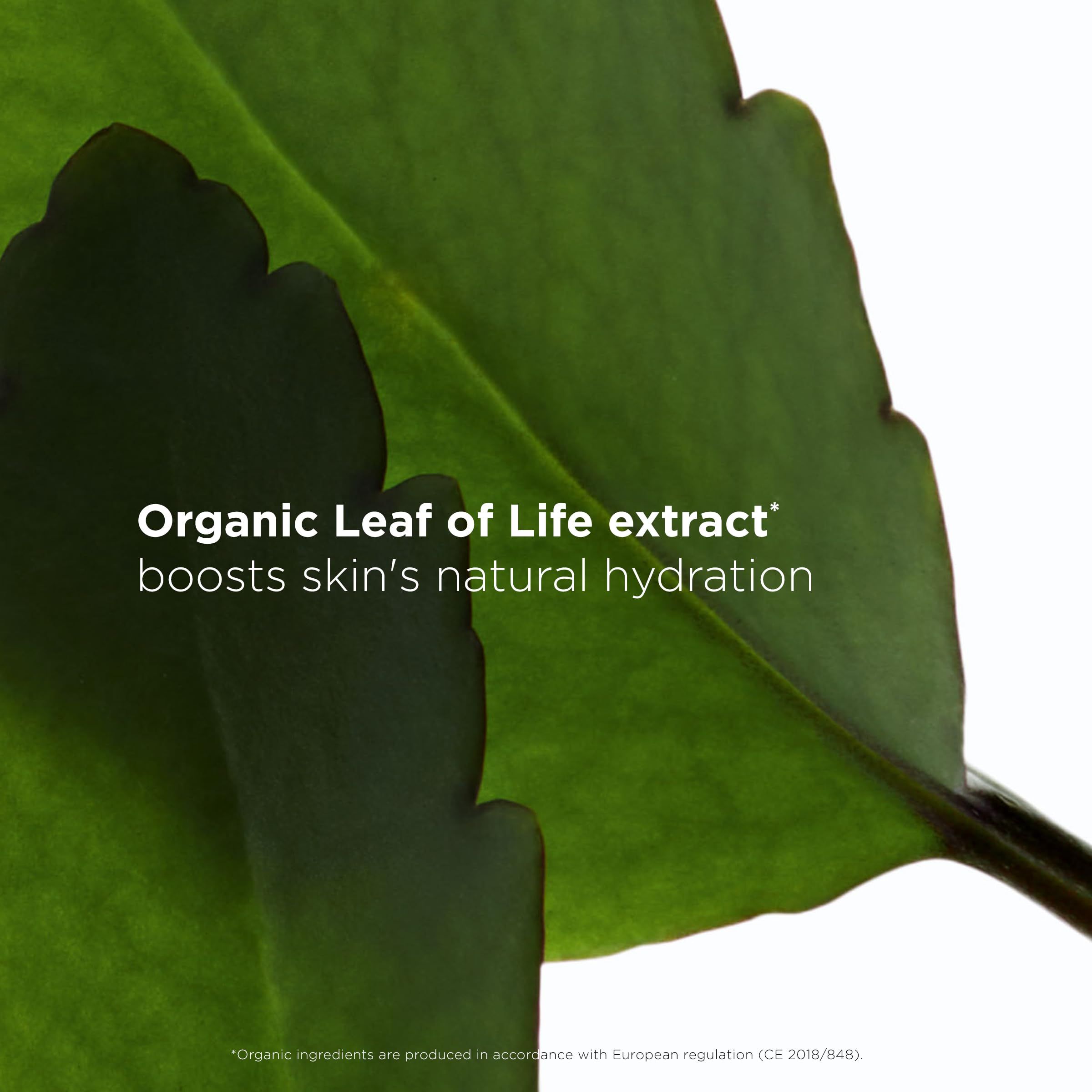 Clarins Scrub Fresh 50 ml