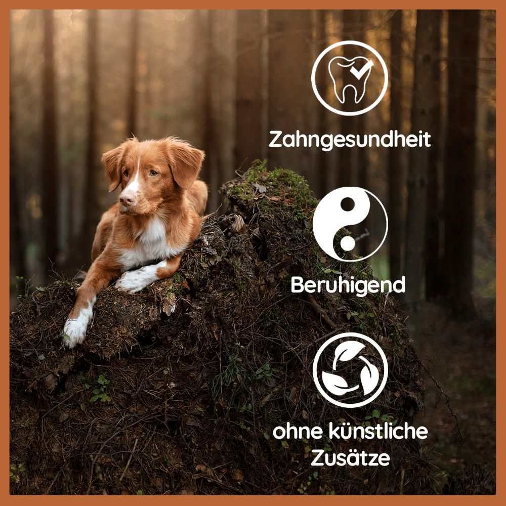 Cane su un ceppo. Icone: salute dentale, calmante, senza additivi artificiali.