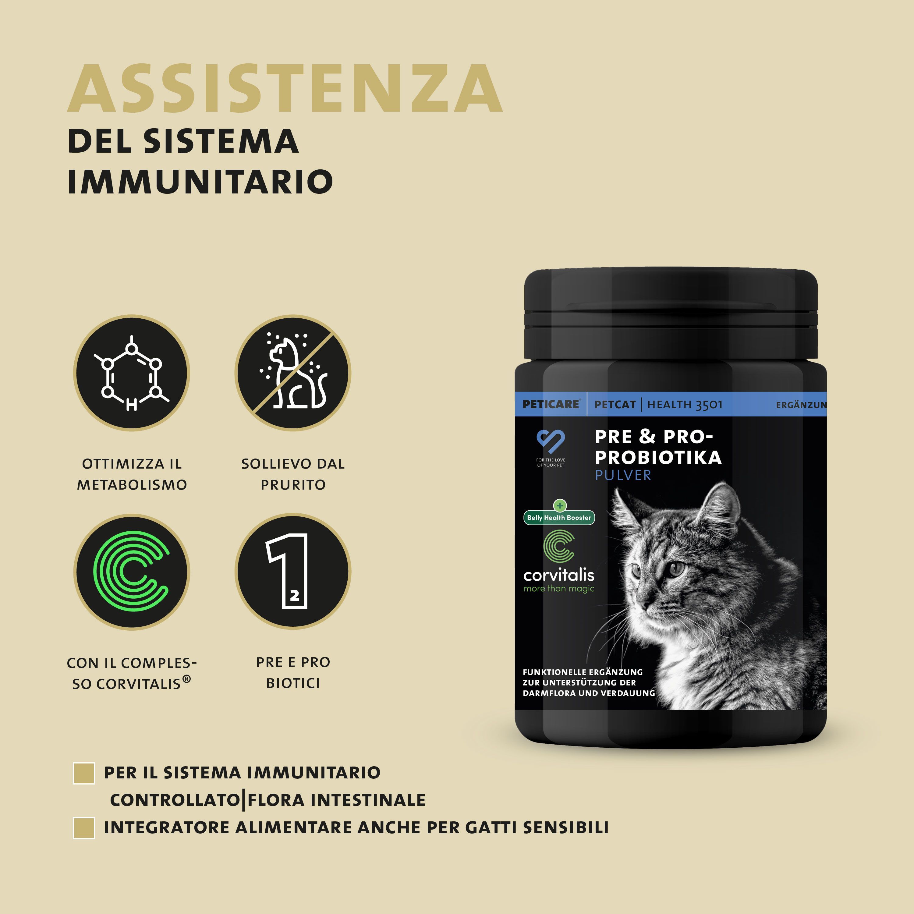 Gattino mangia cibo con polvere Peticare Pre/Pro-Biotika, dosaggio facile.