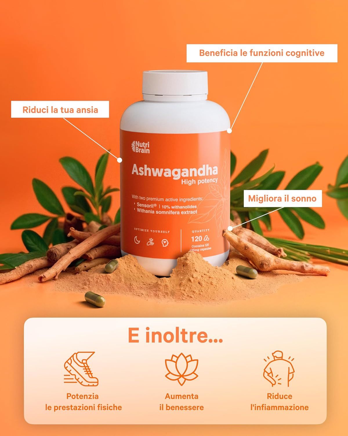 NUTRIBRAIN Capsula di Ashwagandha