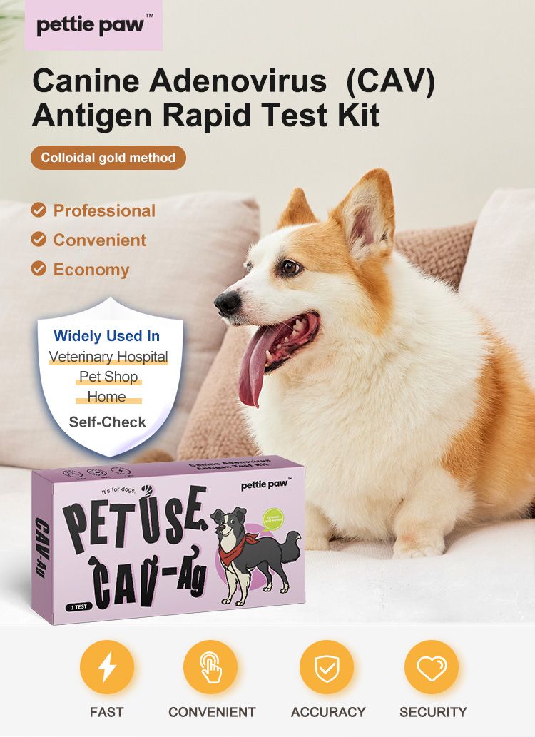 Confezione 'pette paw' con 'Canine Adenovirus (CAV) Antigen Rapid Test Kit'. Cane accanto alla confezione.