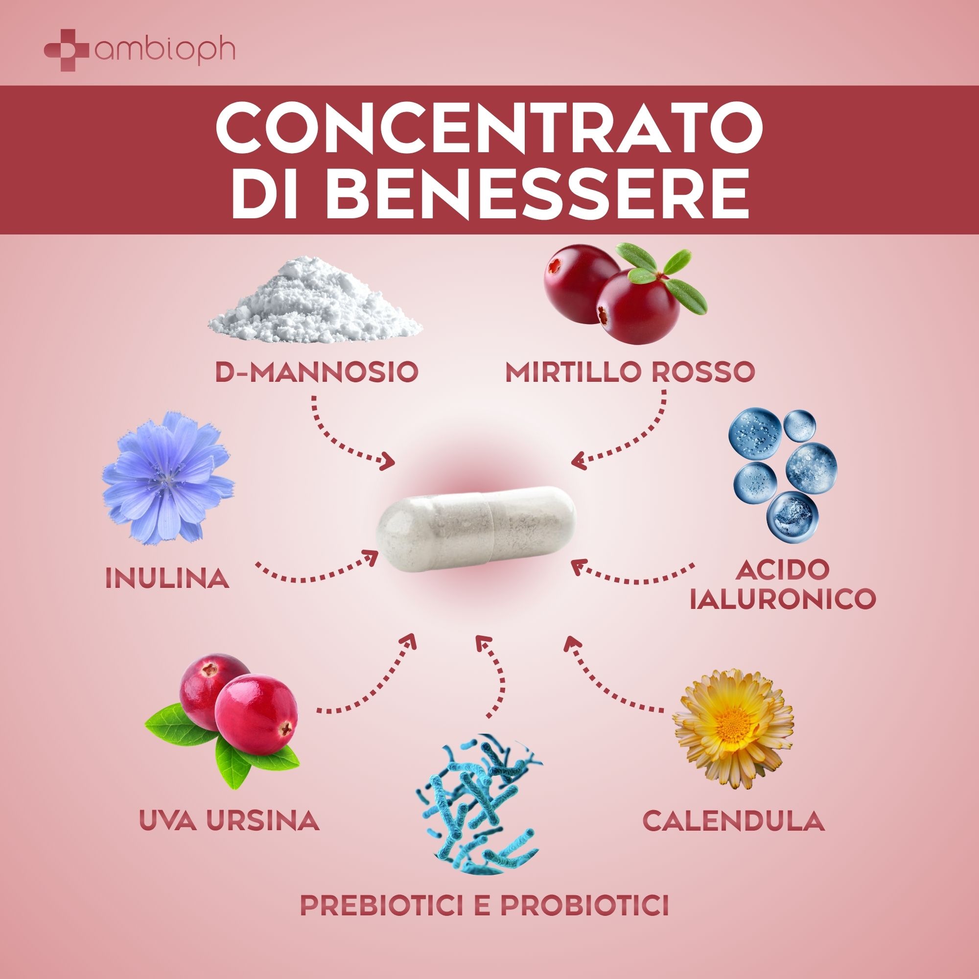 Ingredienti di CistyZEN: D-Mannosio, Mirtillo Rosso, Inulina, Uva Ursina, Calendula, Acido Ialuronico, Prebiotici e Probiotici.