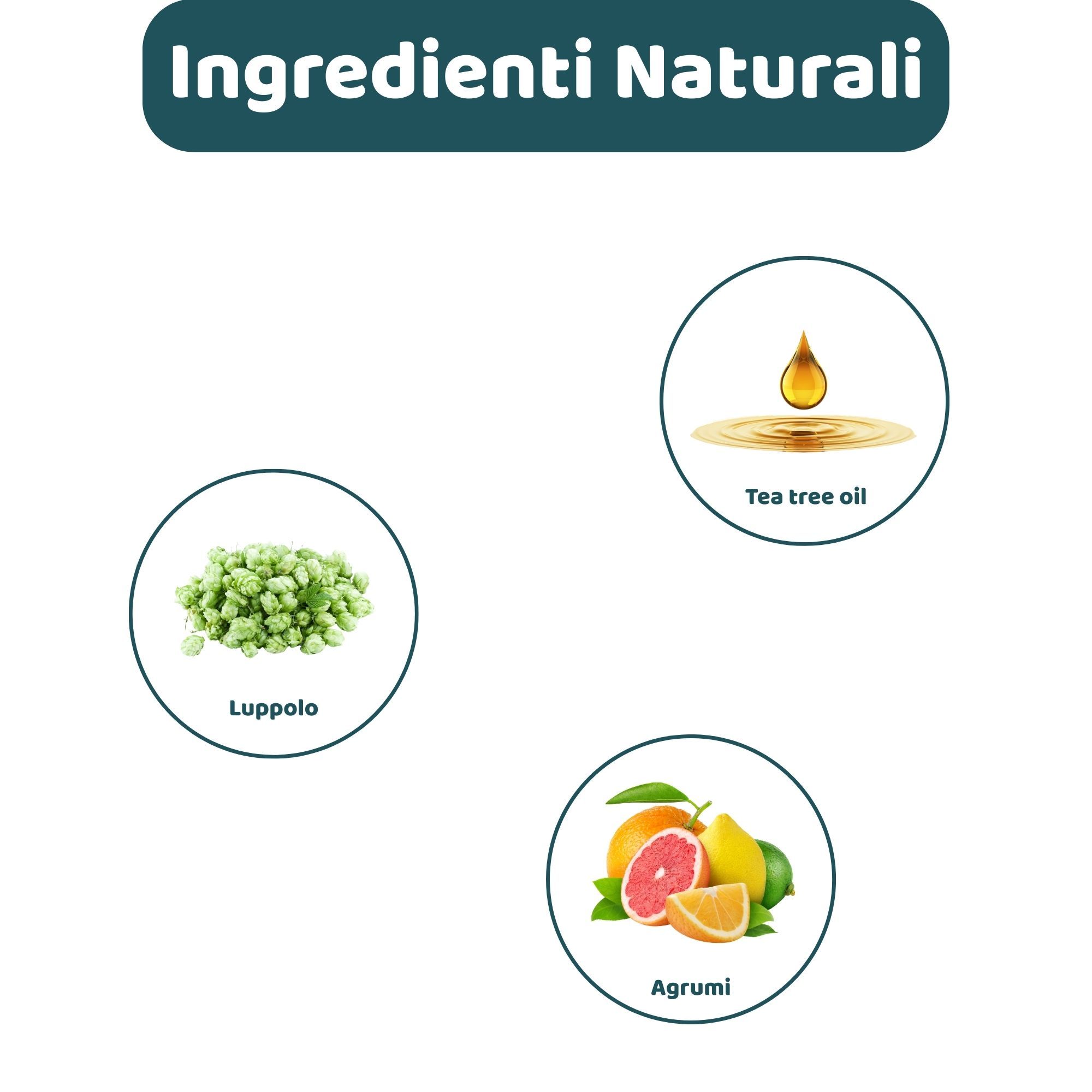Grafica con ingredienti: Luppolo, olio di tea tree e agrumi. Testo: Ingredienti naturali.
