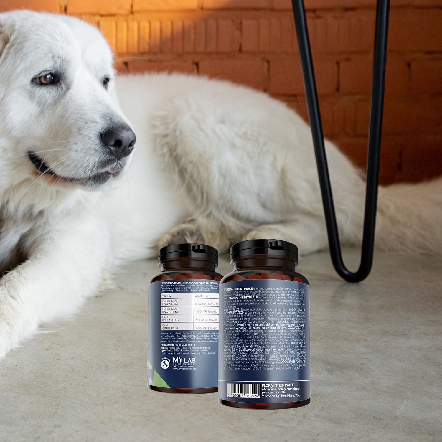 Due flaconi scuri di pillole con etichette, uno mostra le informazioni nutrizionali. Un cane bianco è sdraiato sullo sfondo.