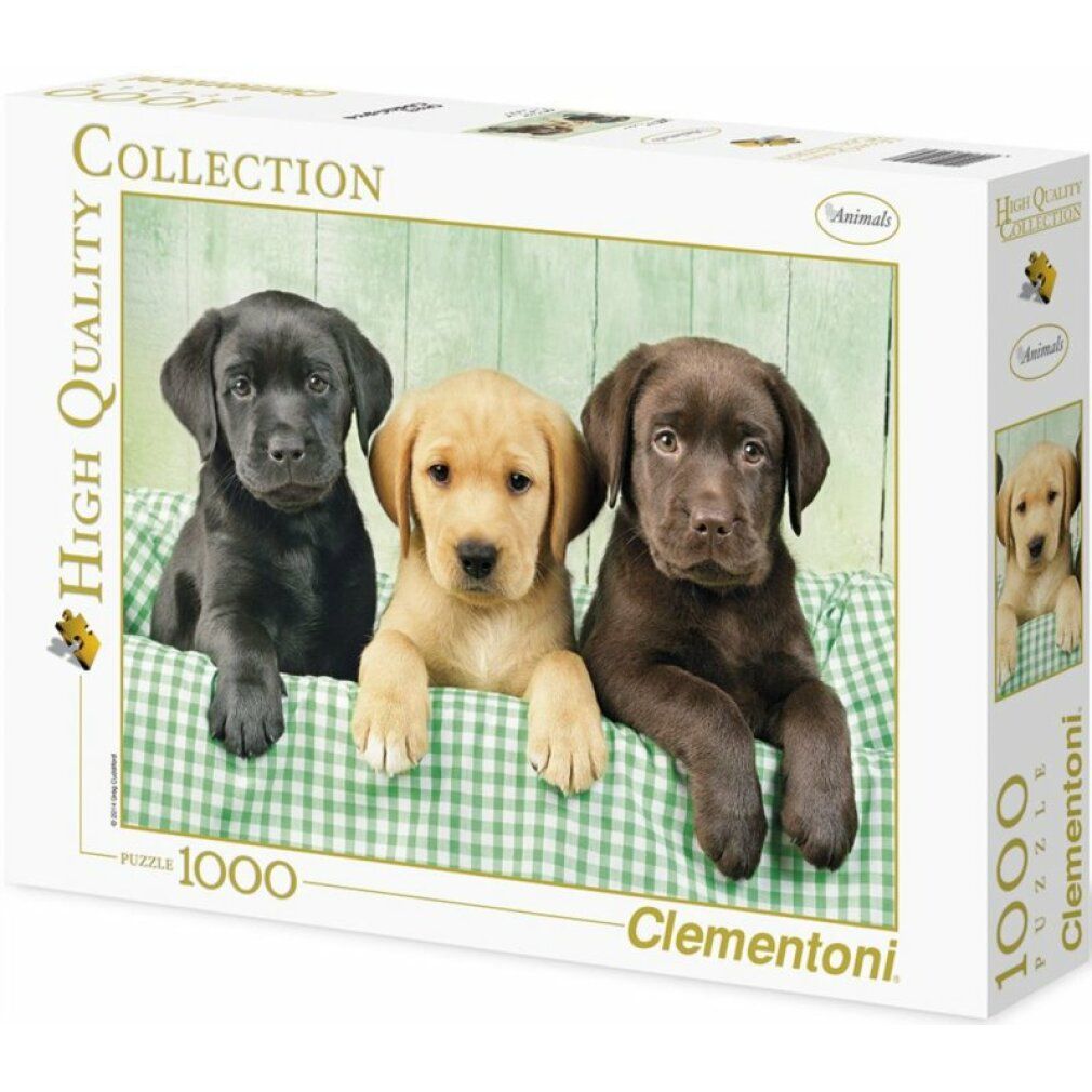 Collezione di alta qualità - Puzzle da 1000 pezzi - Tre Labrador