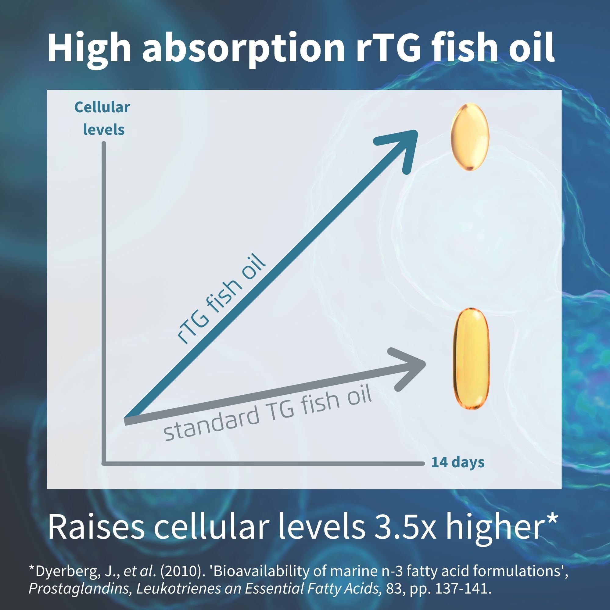 Alto assorbimento di olio di pesce rTG rispetto all'olio di pesce standard.