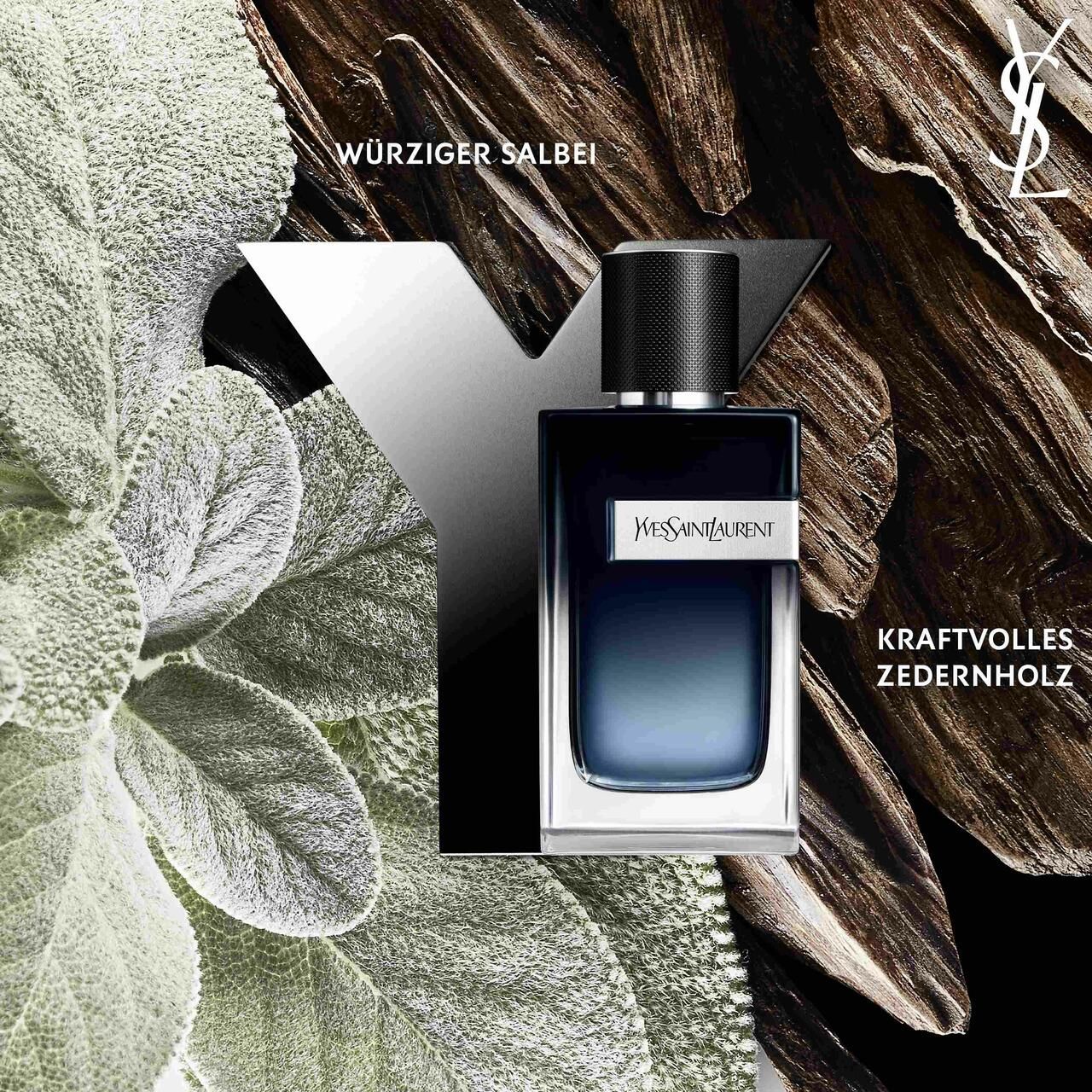 Yves Saint Laurent Y Men EdP Vapo. Flacone davanti a legno e foglie. Tappo nero, etichetta bianca. Testo: Salvia speziata, Legno di cedro potente.