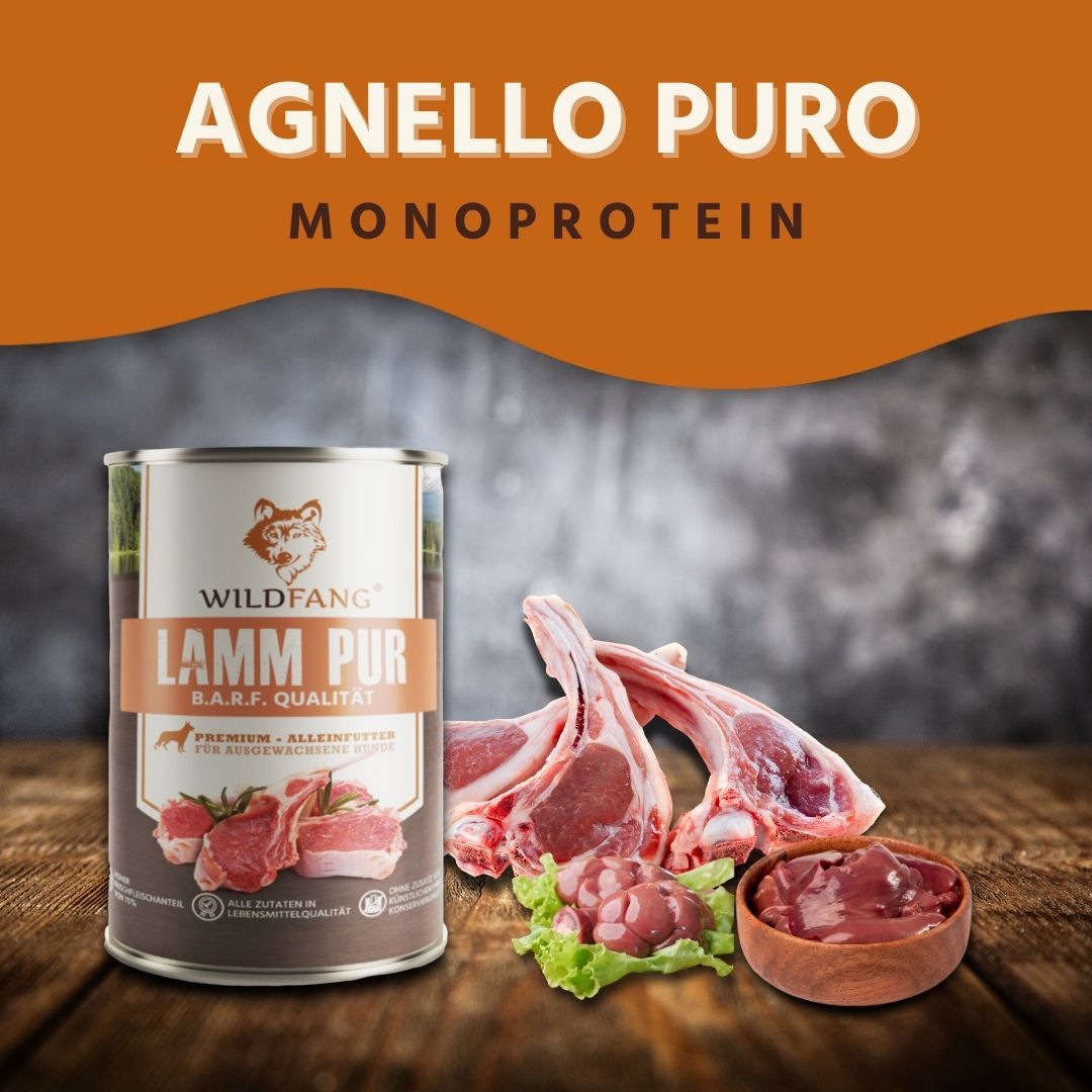 Wildfang - Junior Gourmet Box - Cibo secco e umido