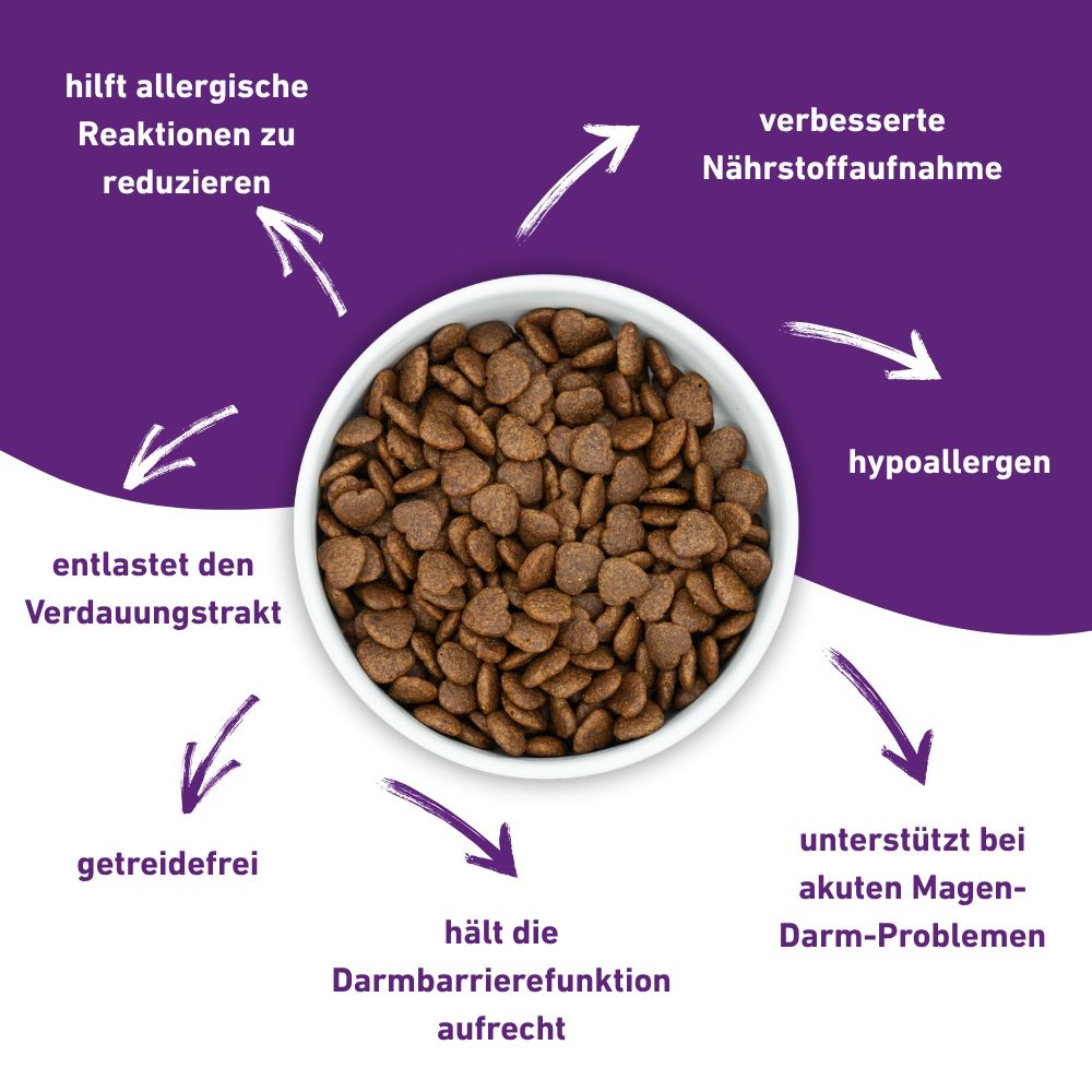 Cibo per cani in una ciotola. Frecce che indicano i vantaggi: riduzione delle allergie, miglior assorbimento dei nutrienti, ipoallergenico, funzione intestinale.