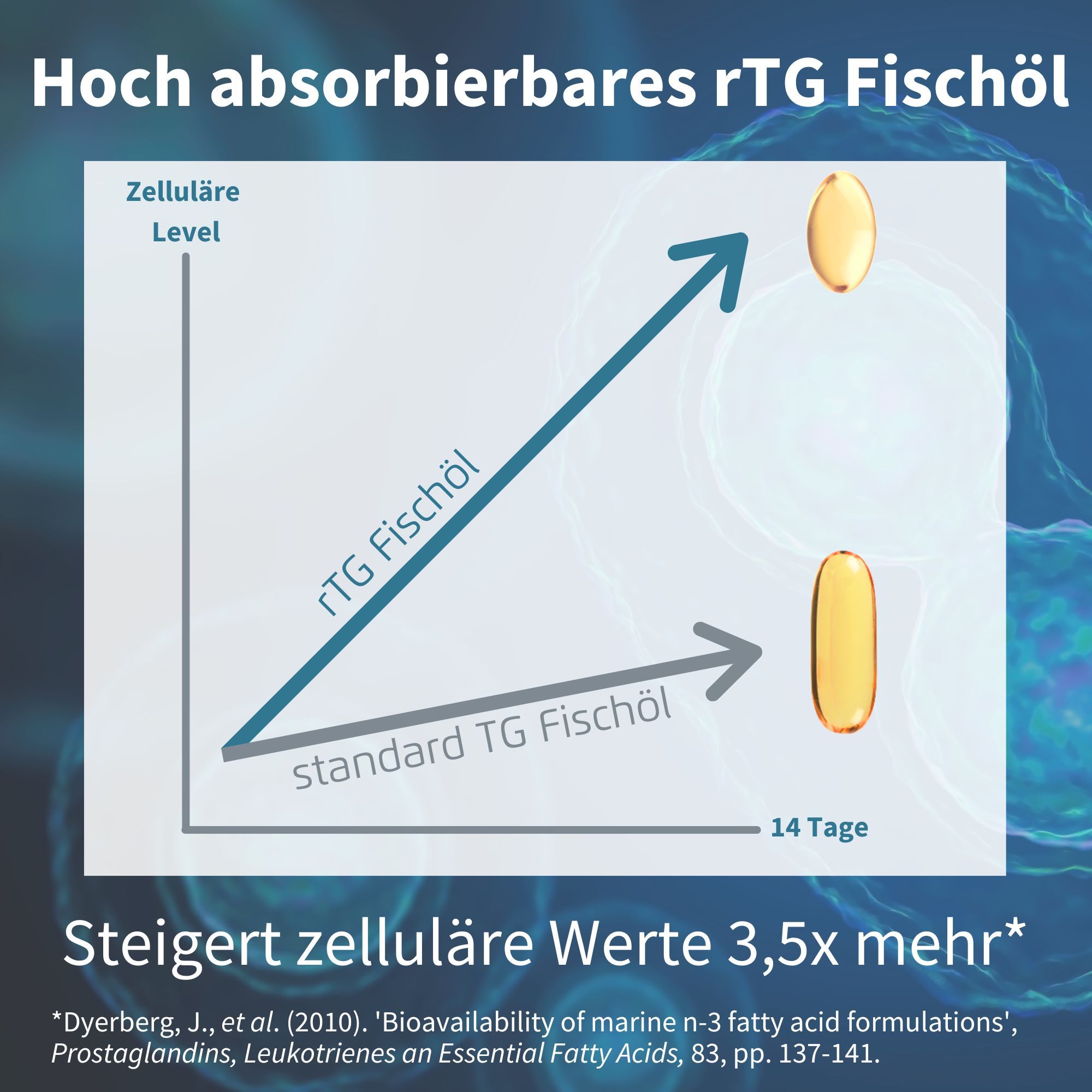 Diagramma con due capsule gialle. L'olio di pesce rTG aumenta i valori cellulari. Olio di pesce TG standard. Frecce.