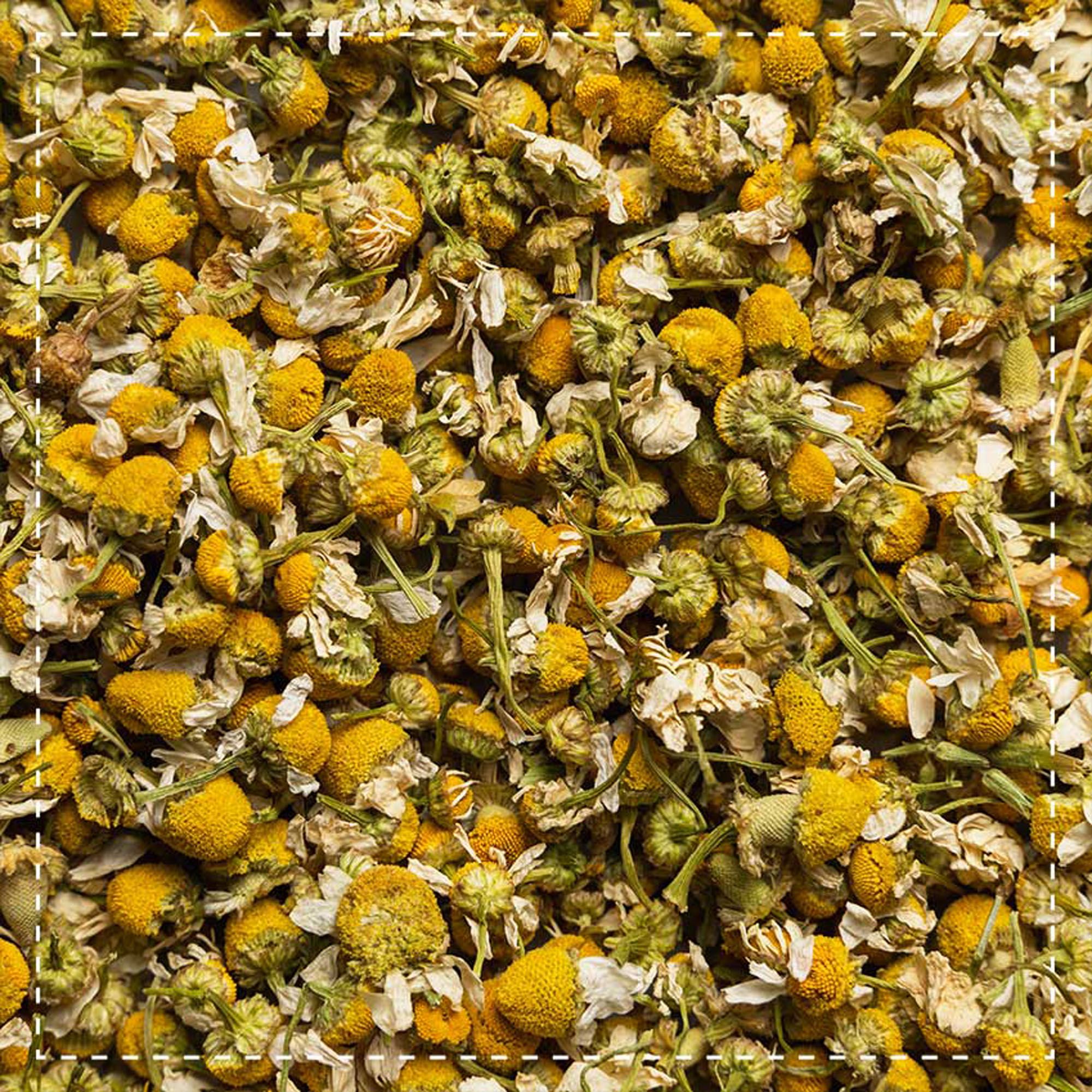 Biotiva Tisana ai fiori di camomilla biologica