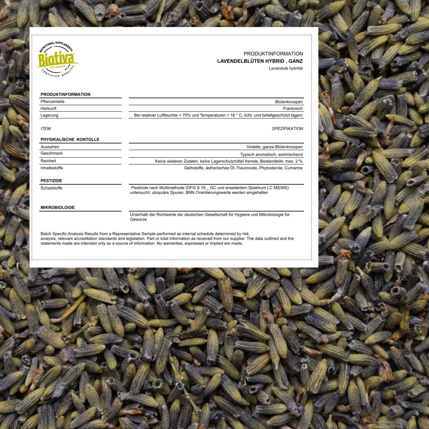 Dettaglio dei fiori di lavanda. Informazioni sul prodotto su un foglio bianco. Certificazione biologica.