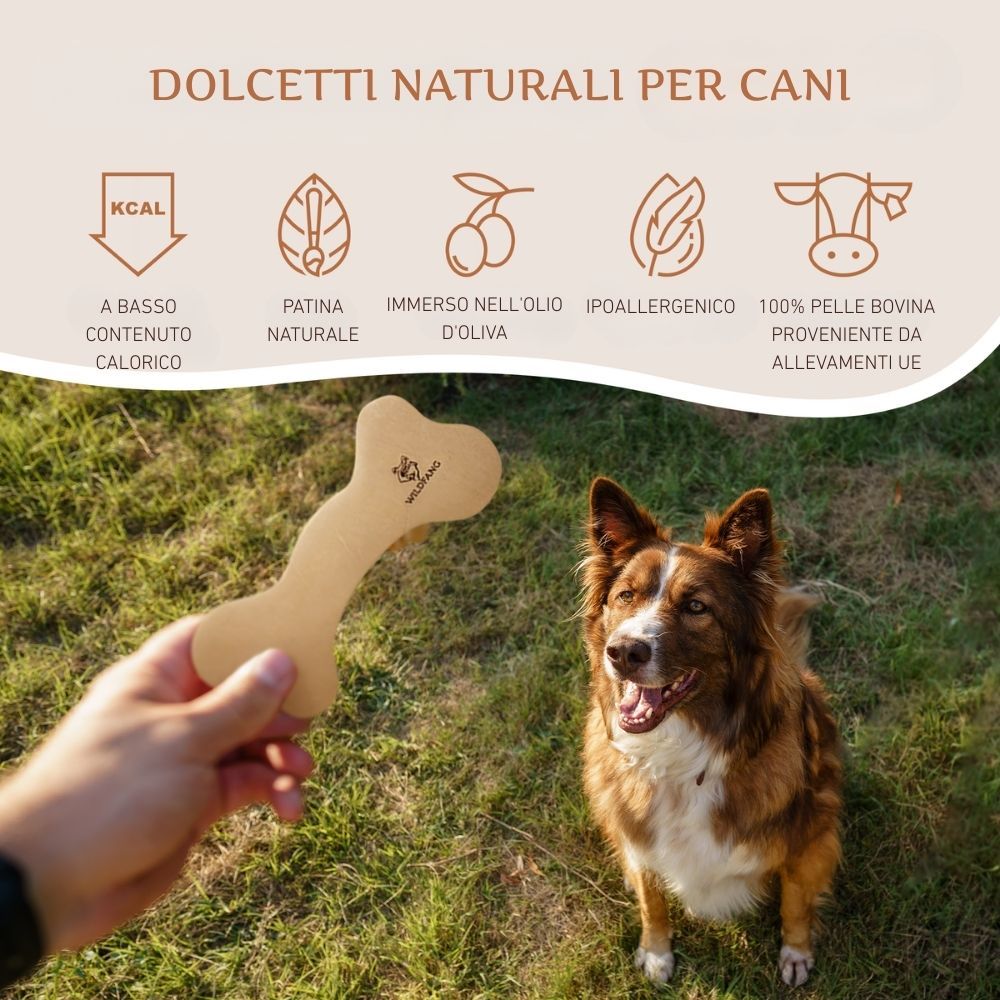Un osso di pelle è tenuto in mano. Un cane è seduto sull'erba. Testo: A basso contenuto calorico, Patina naturale, etc.