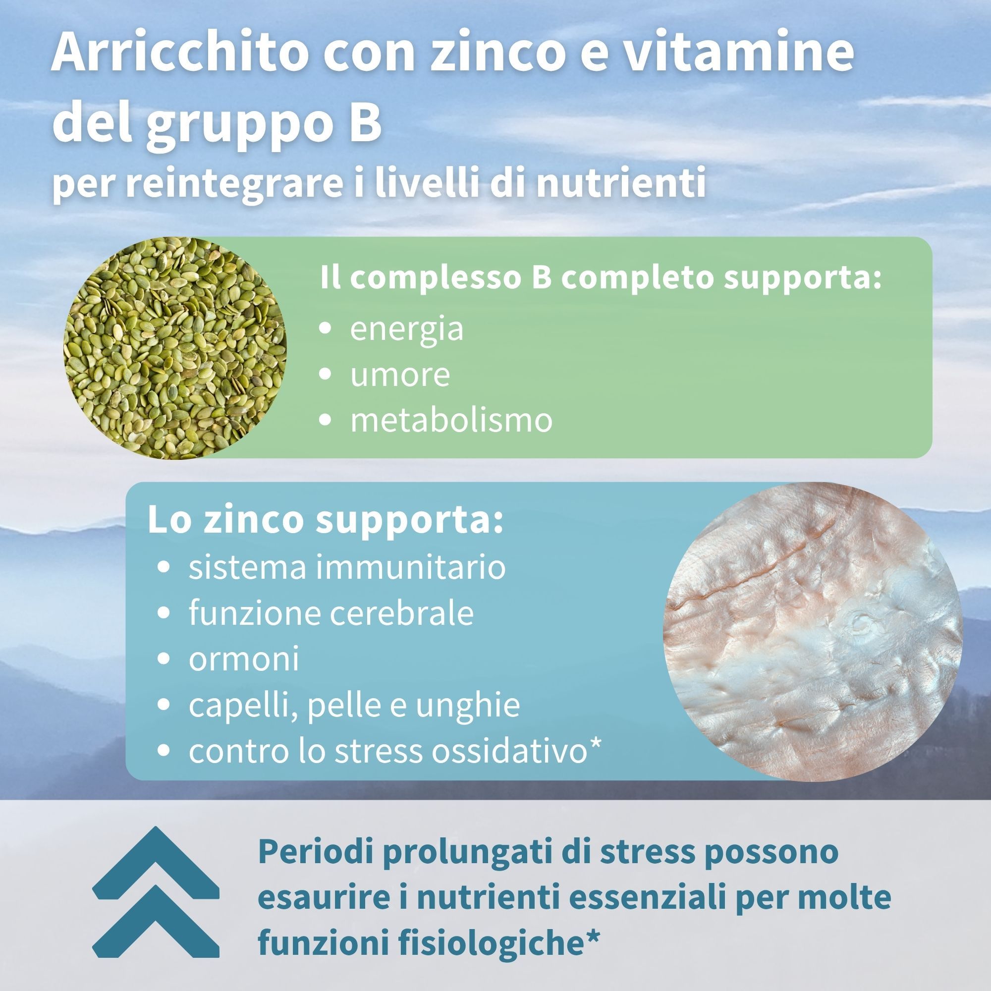 Grafico con ingredienti. Testo: Zinco e vitamine B. Verde: Energia, umore, metabolismo. Blu: Sistema immunitario, funzione cerebrale.