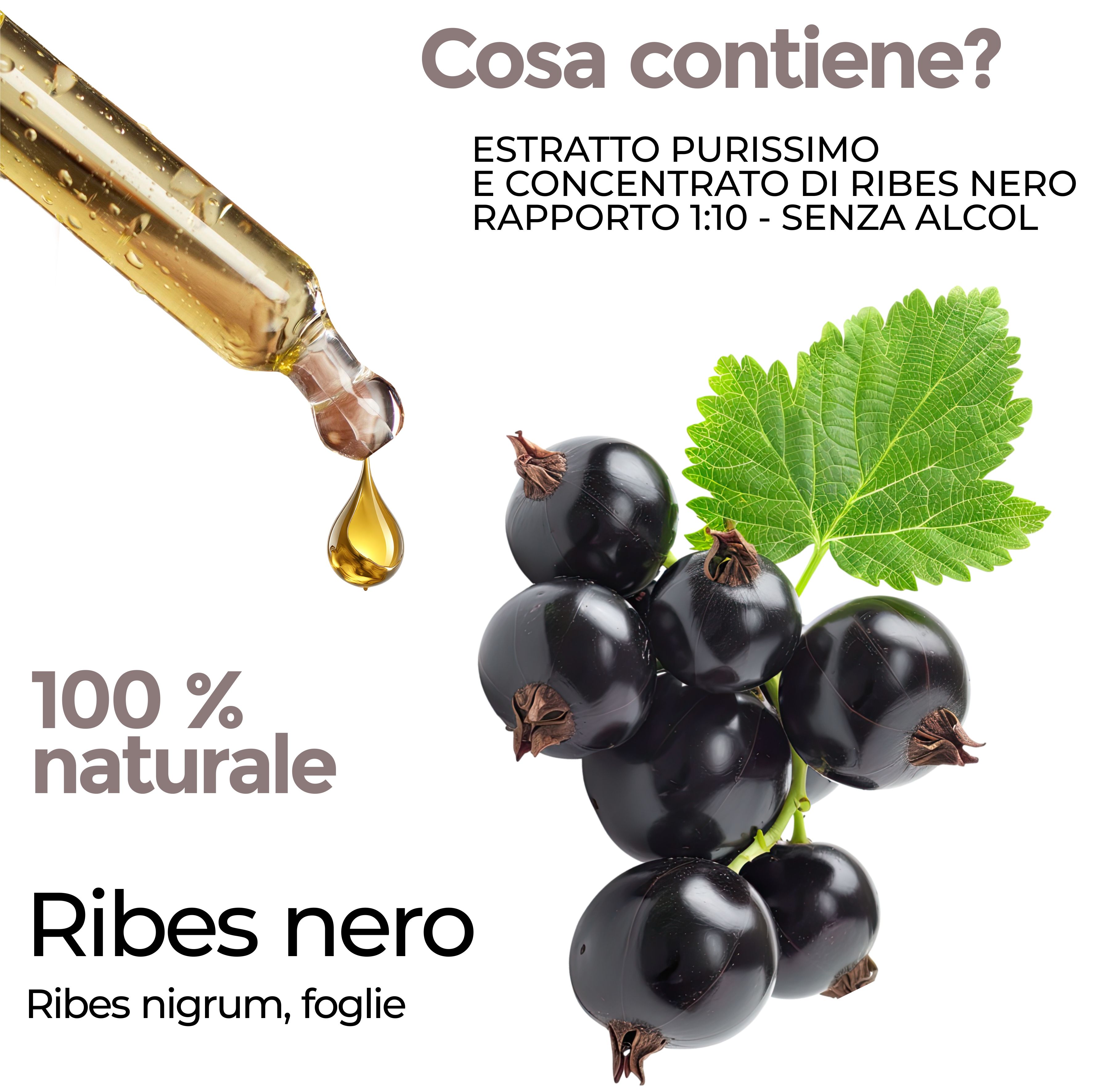 Contagocce con liquido, ribes neri e foglie. Testo: 100% naturale, Ribes nero, Ribes nigrum, foglie.