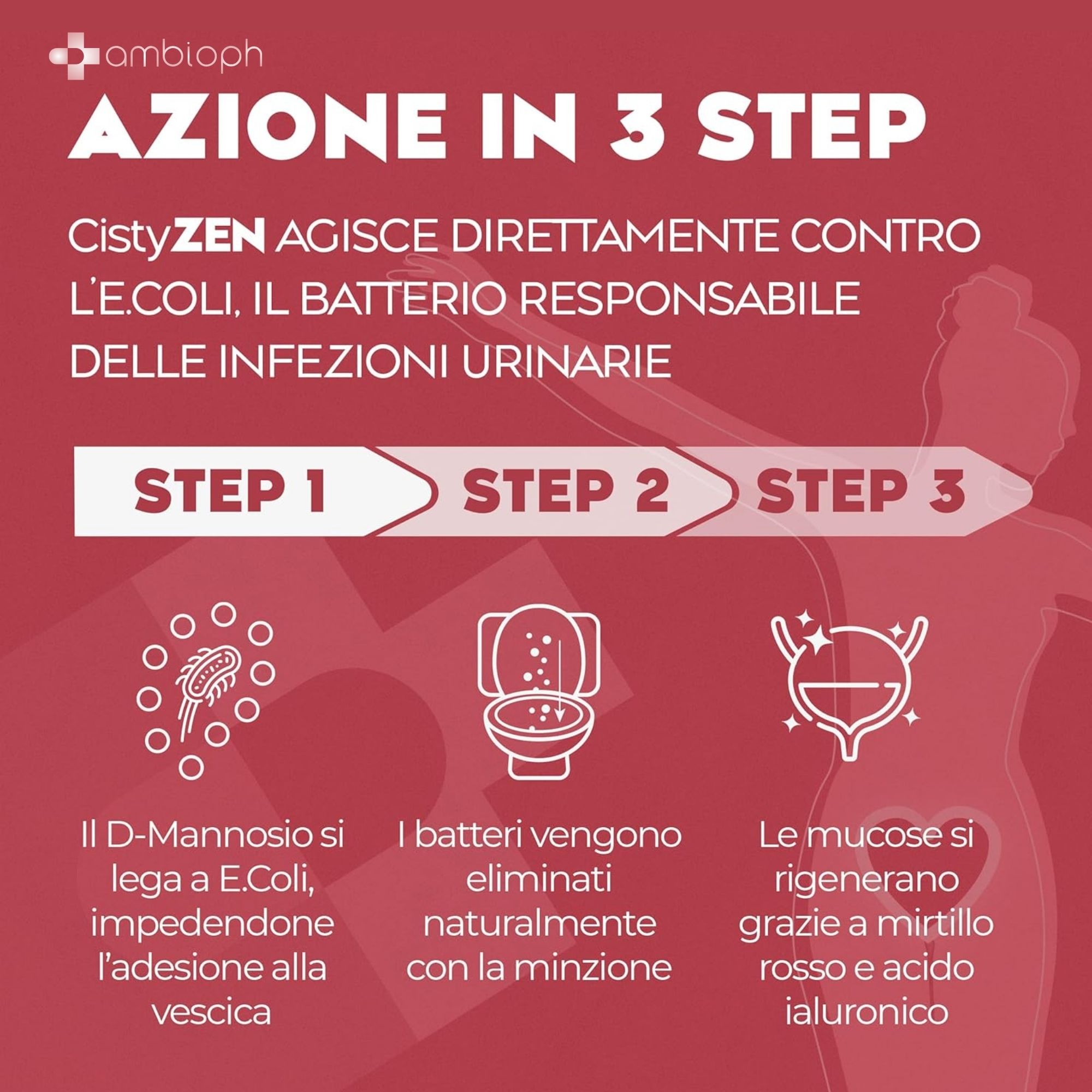 Grafica sull'azione in 3 fasi di CistyZEN contro E. coli e infezioni urinarie.