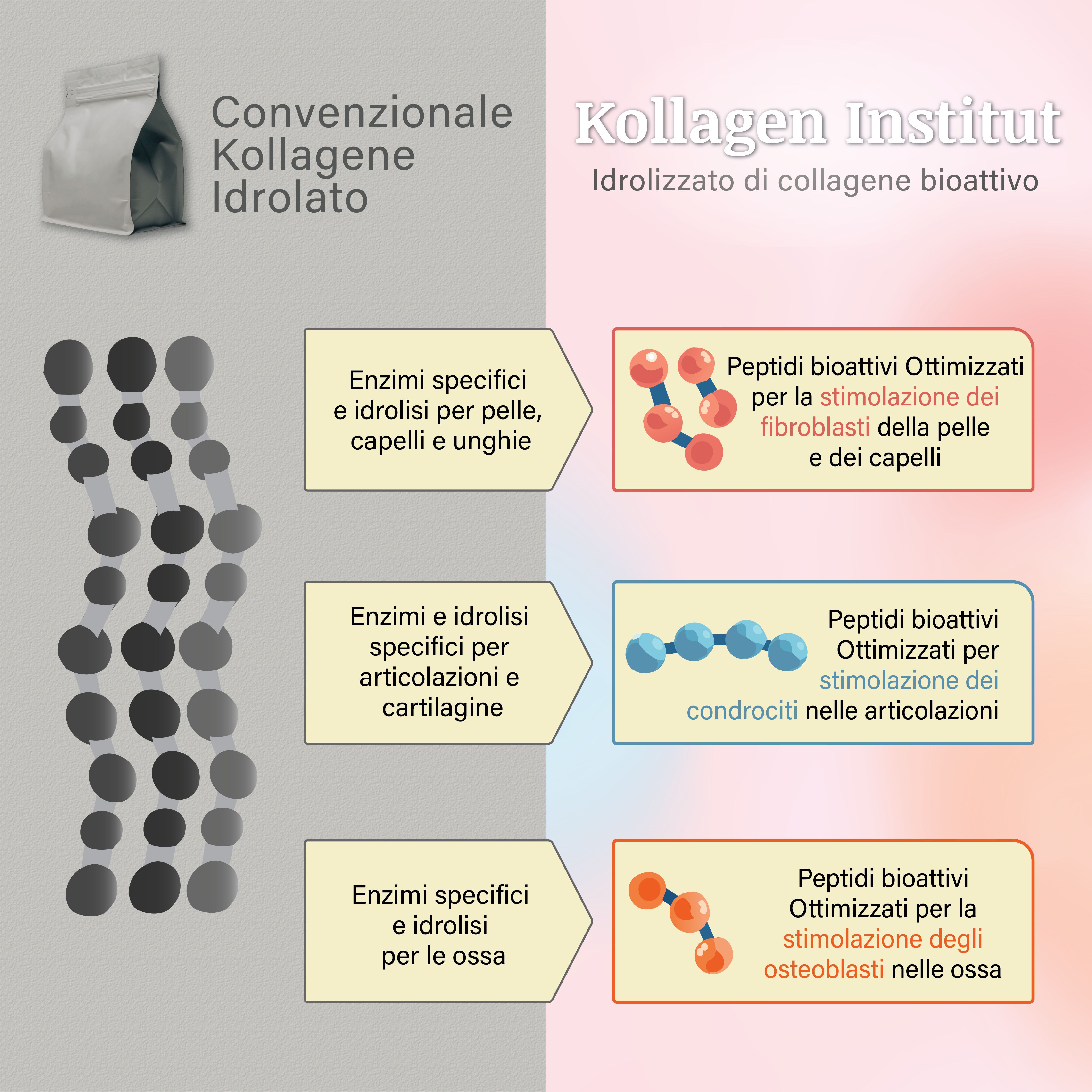 PME NZ1008 Jem - Set Di Ugelli Per La Collezione Di Erba E Capelli, Confezione Da 3, In Acciaio INOX