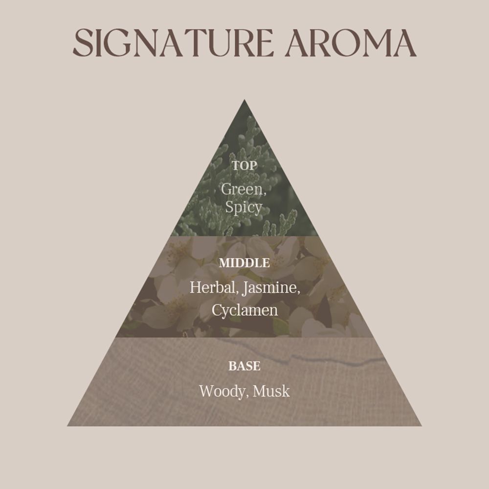 Piramide olfattiva a tre livelli. In alto: Verde, speziato. Centro: Erbe, gelsomino, ciclamino. Base: Legnoso, muschio.