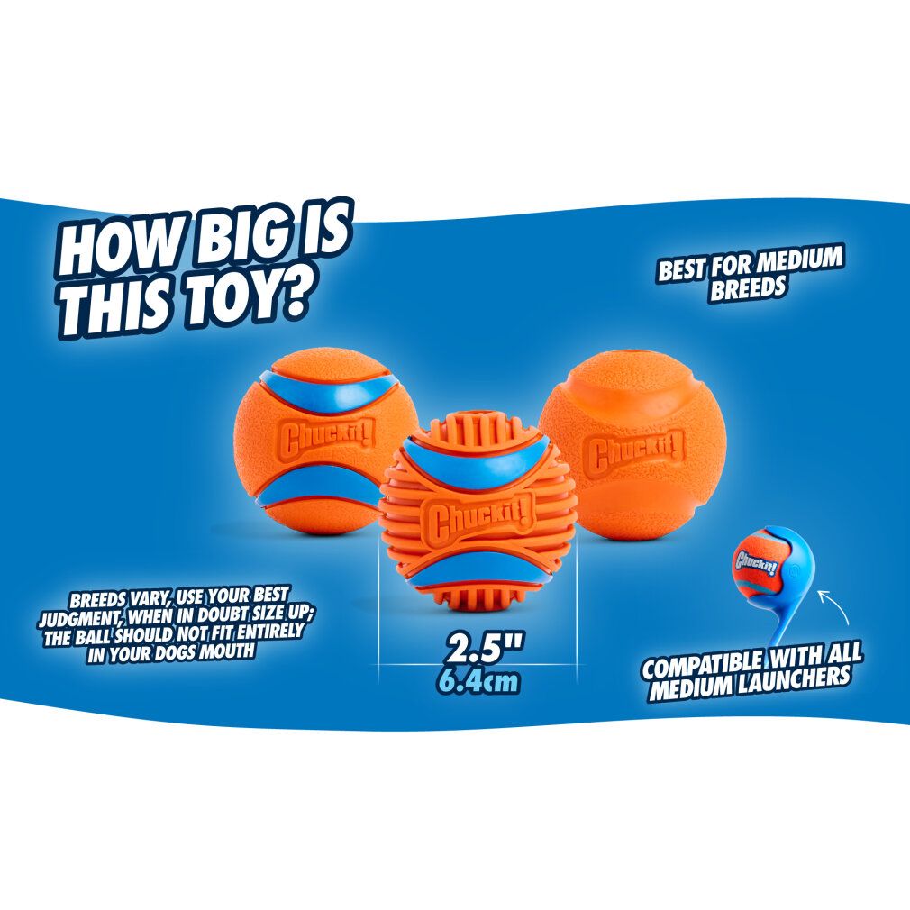 Chuckit Fetch Ball m 6 cm 1 confezione