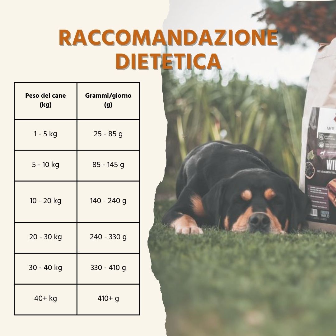 Tabella delle raccomandazioni alimentari. Peso del cane (kg) e grammi/giorno (g). Cane sull'erba vicino a un sacco di cibo.